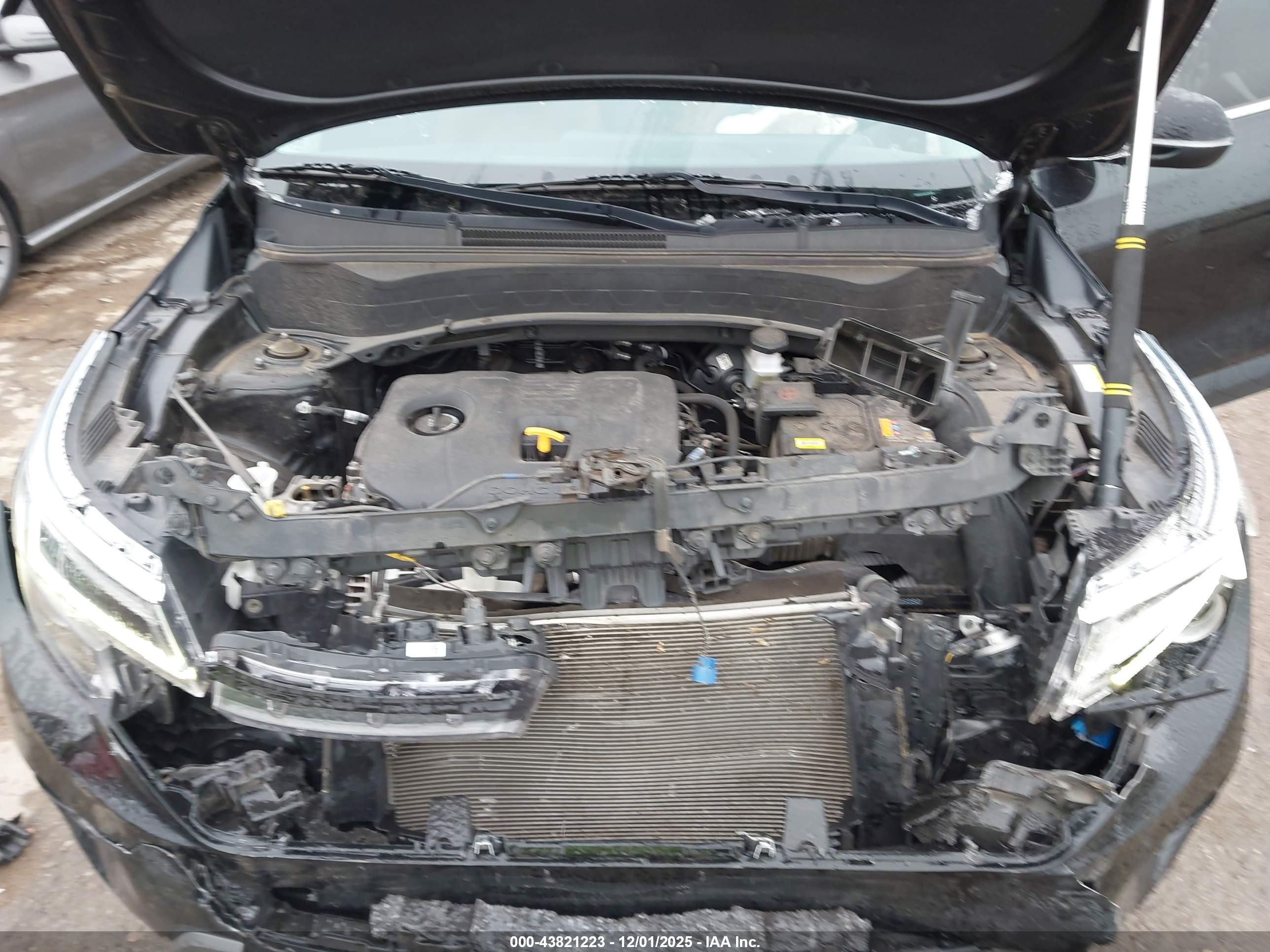 KIA SELTOS image 10
