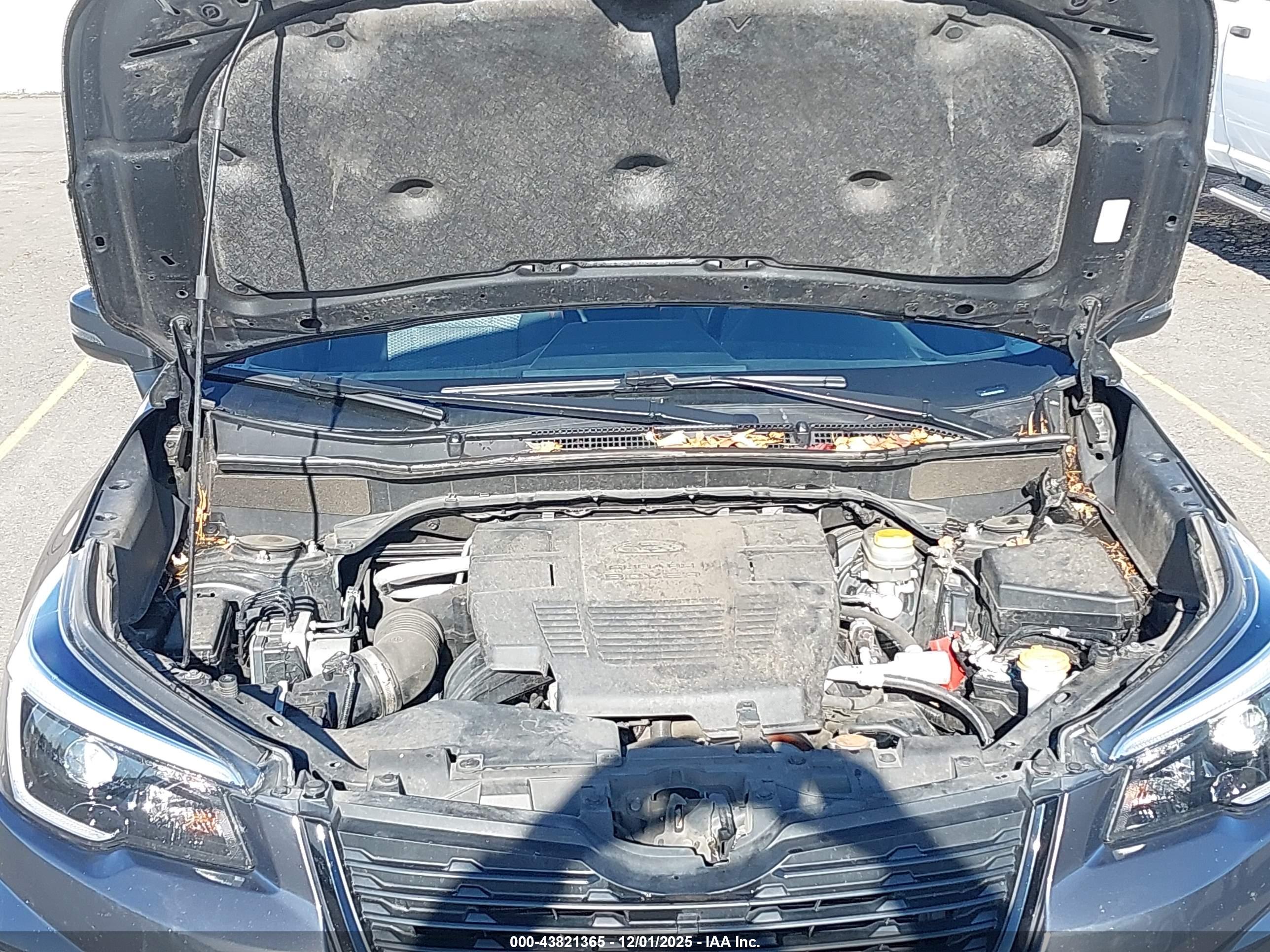 SUBARU FORESTER image 10