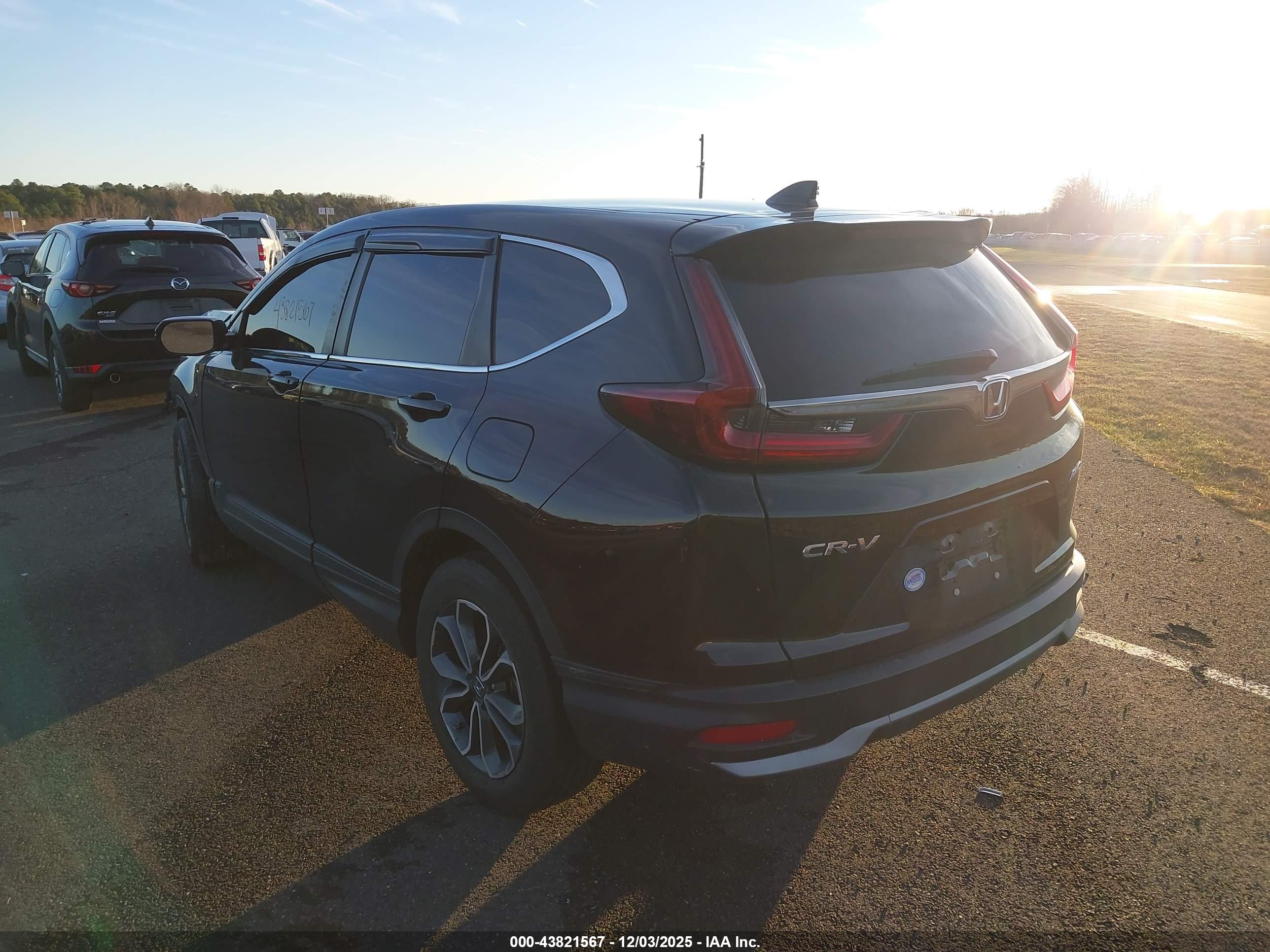 HONDA CR-V image 3