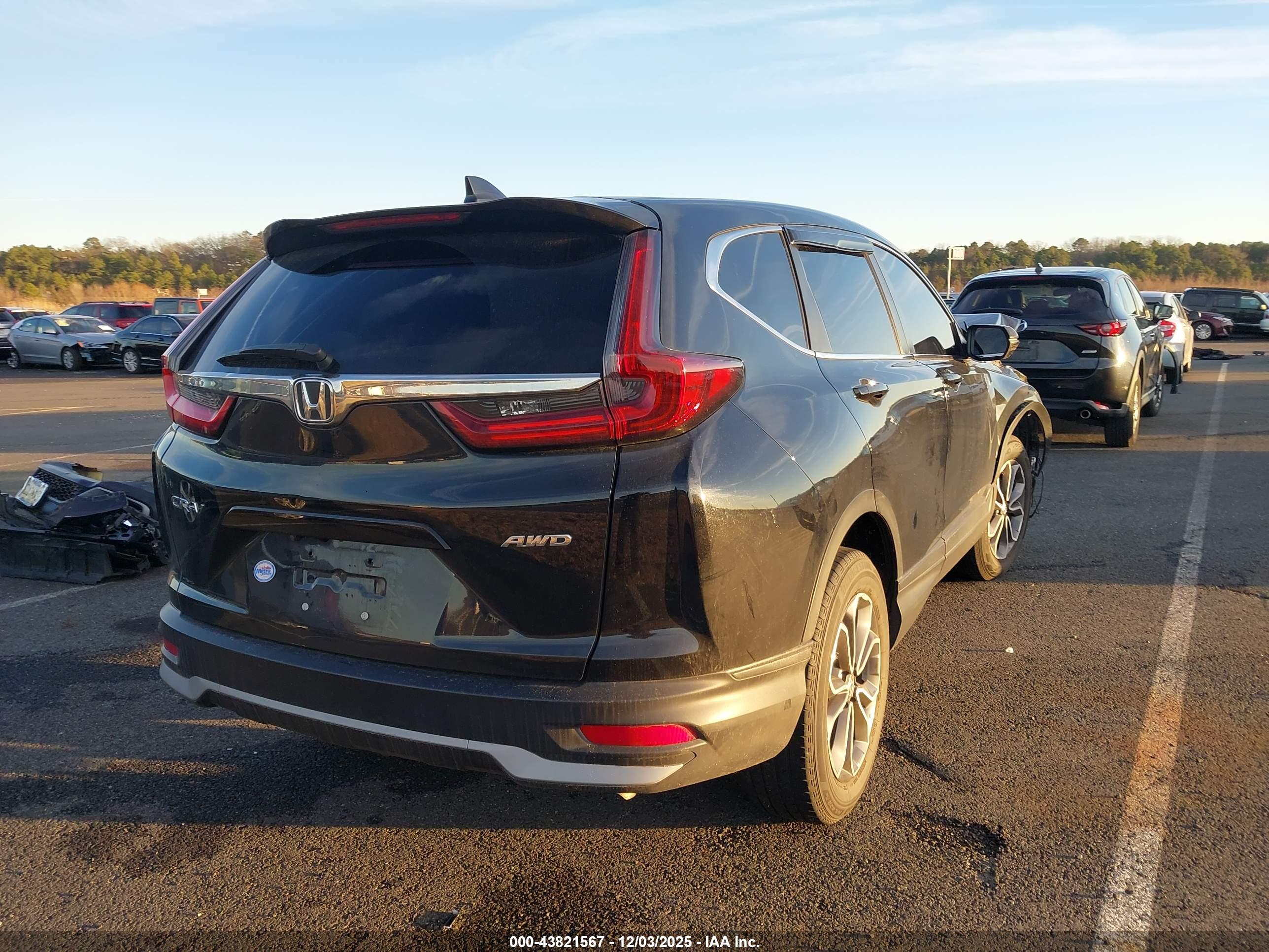 HONDA CR-V image 4