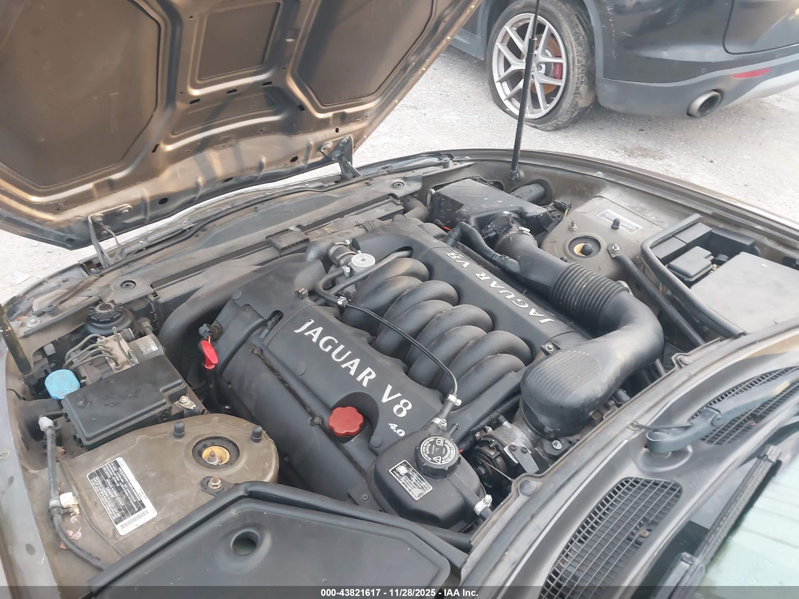 JAGUAR XK8 image 10