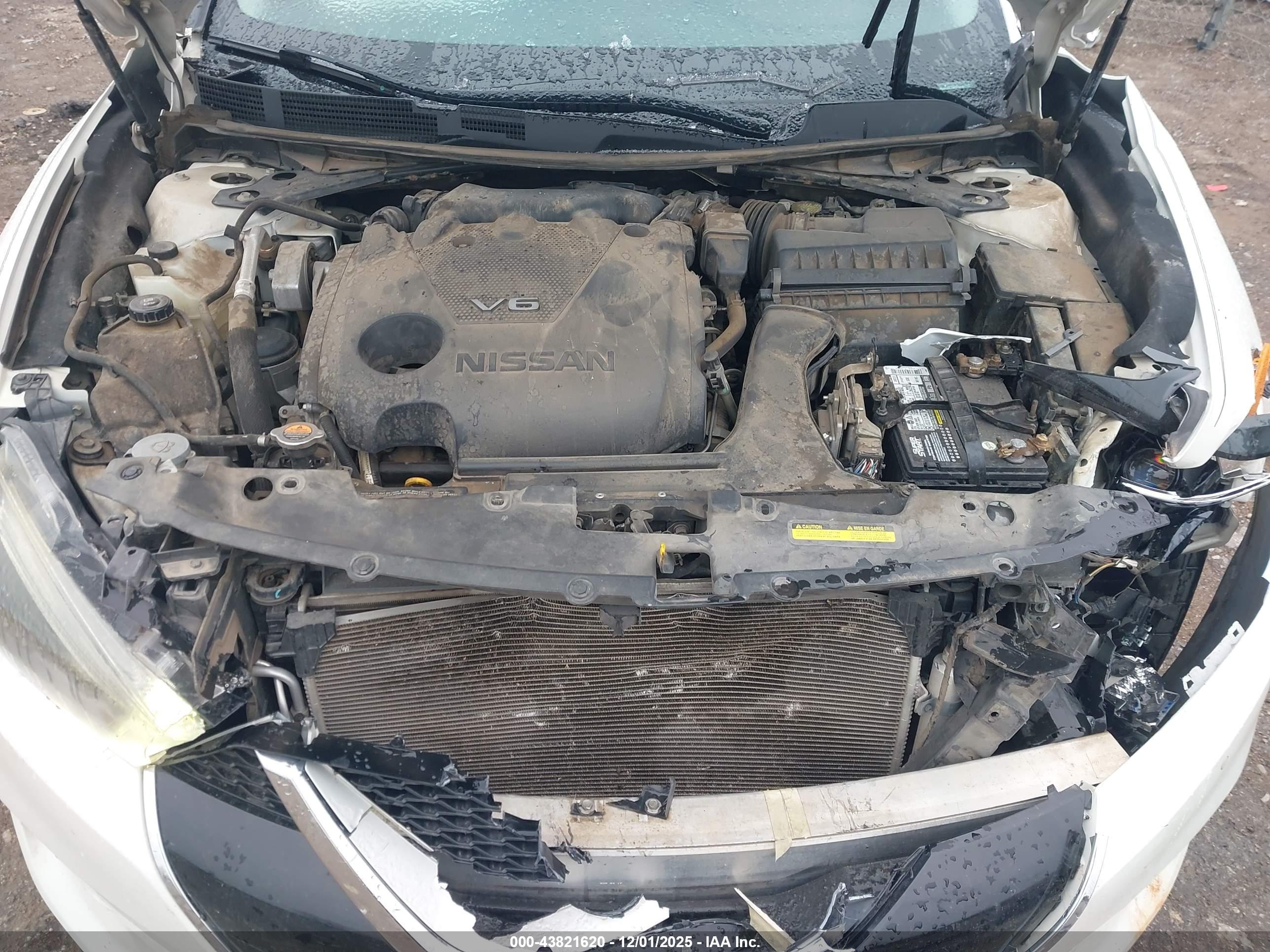 NISSAN MAXIMA image 10