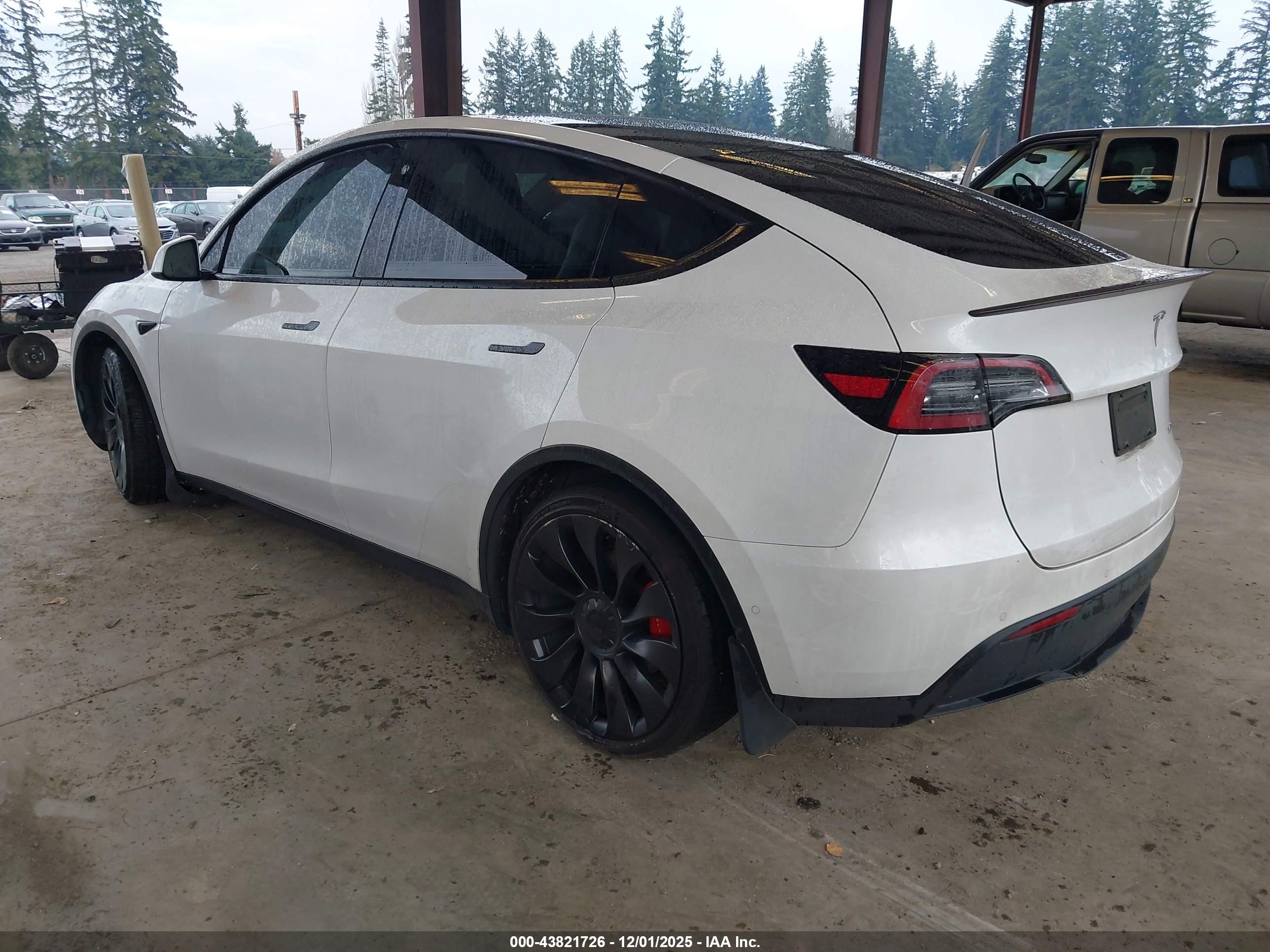TESLA MODEL image 3