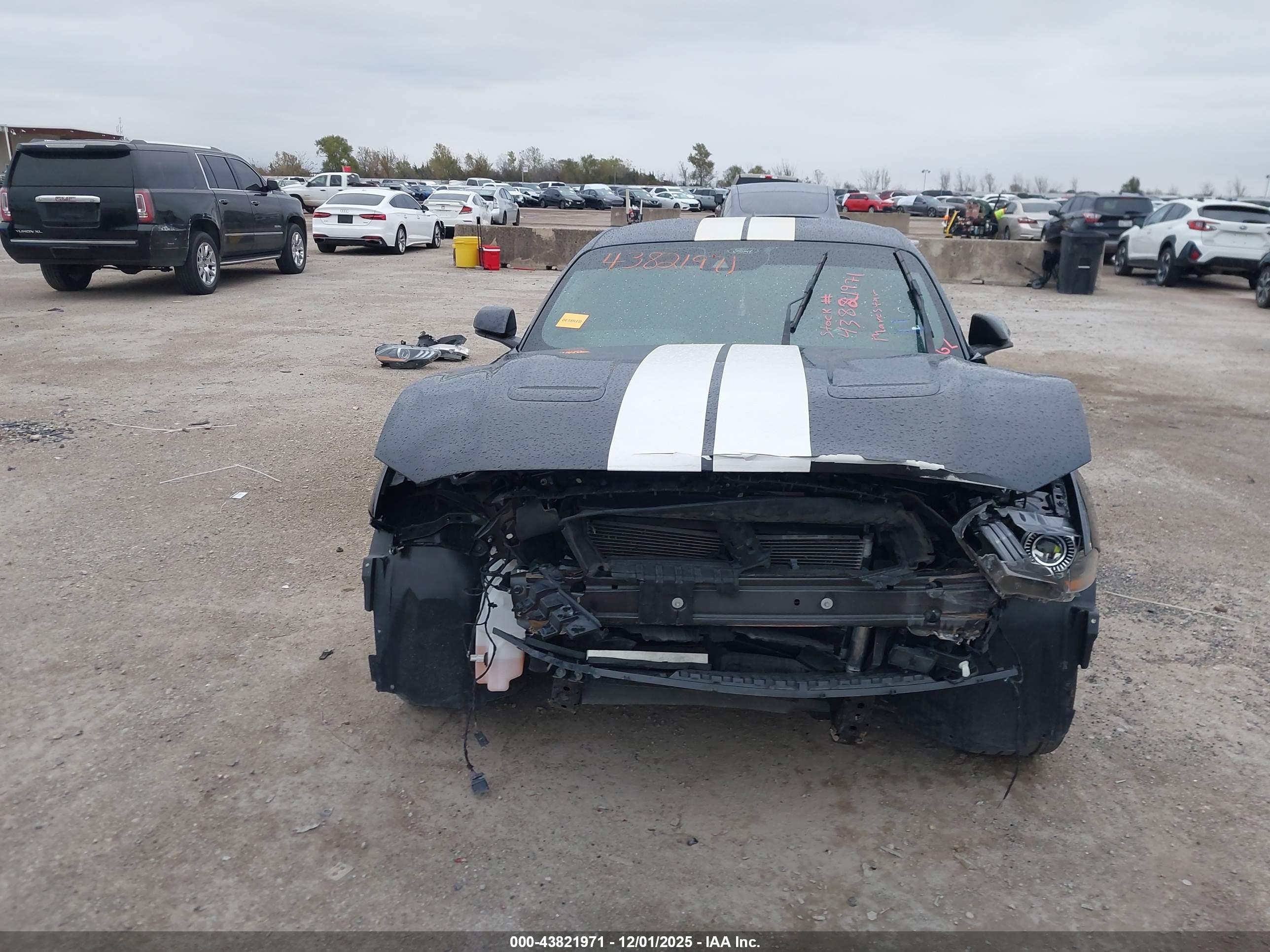 FORD MUSTANG image 6