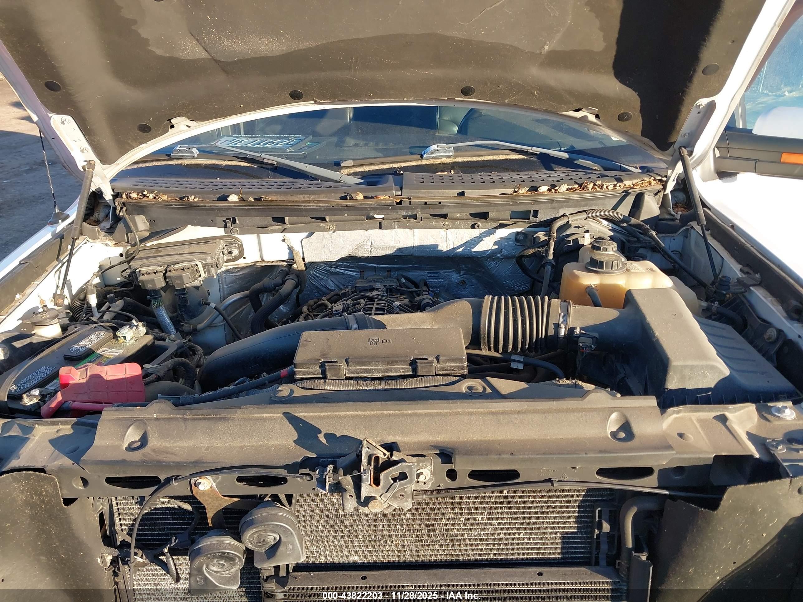 FORD F-150 image 10