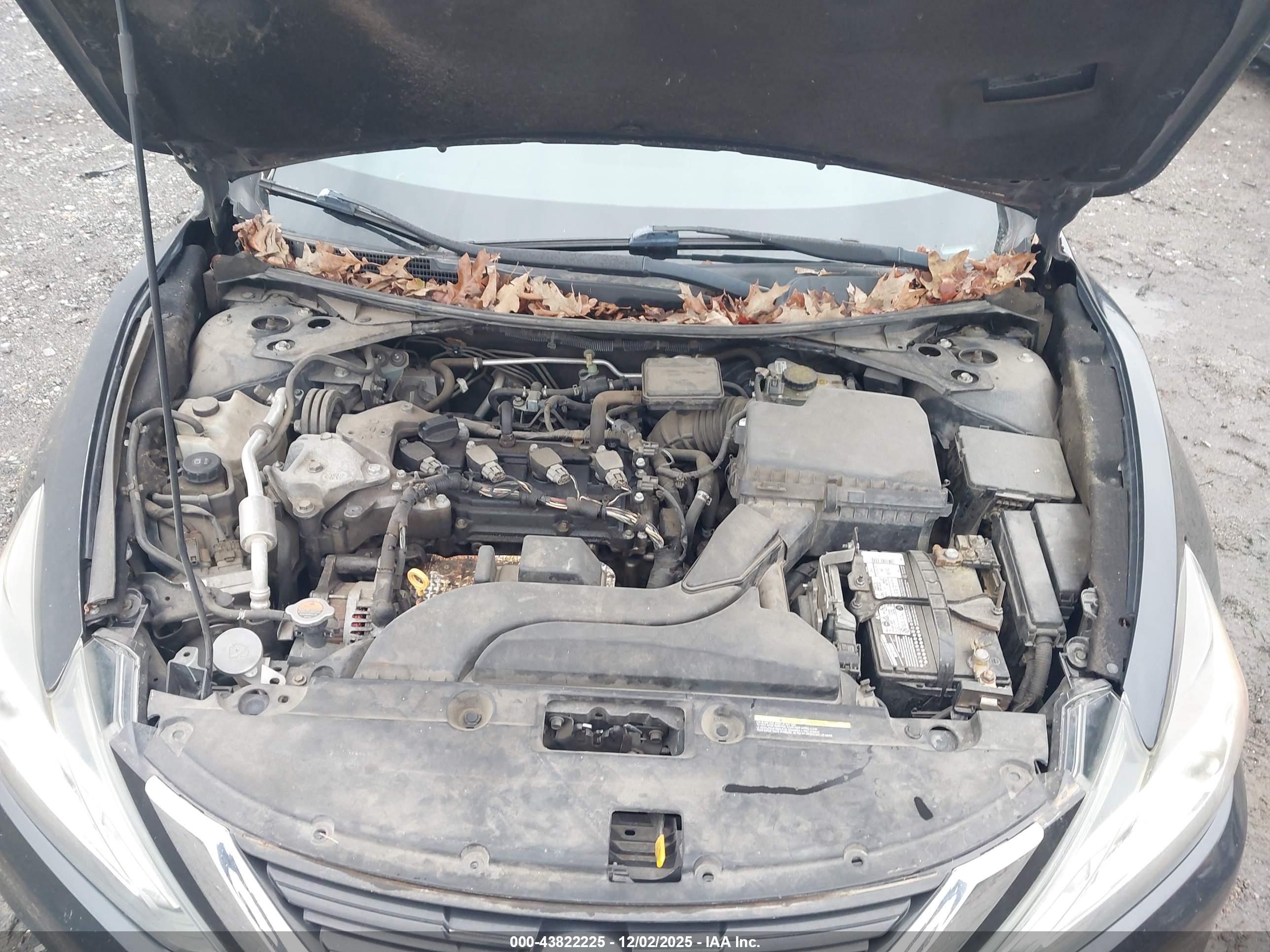 NISSAN ALTIMA image 10