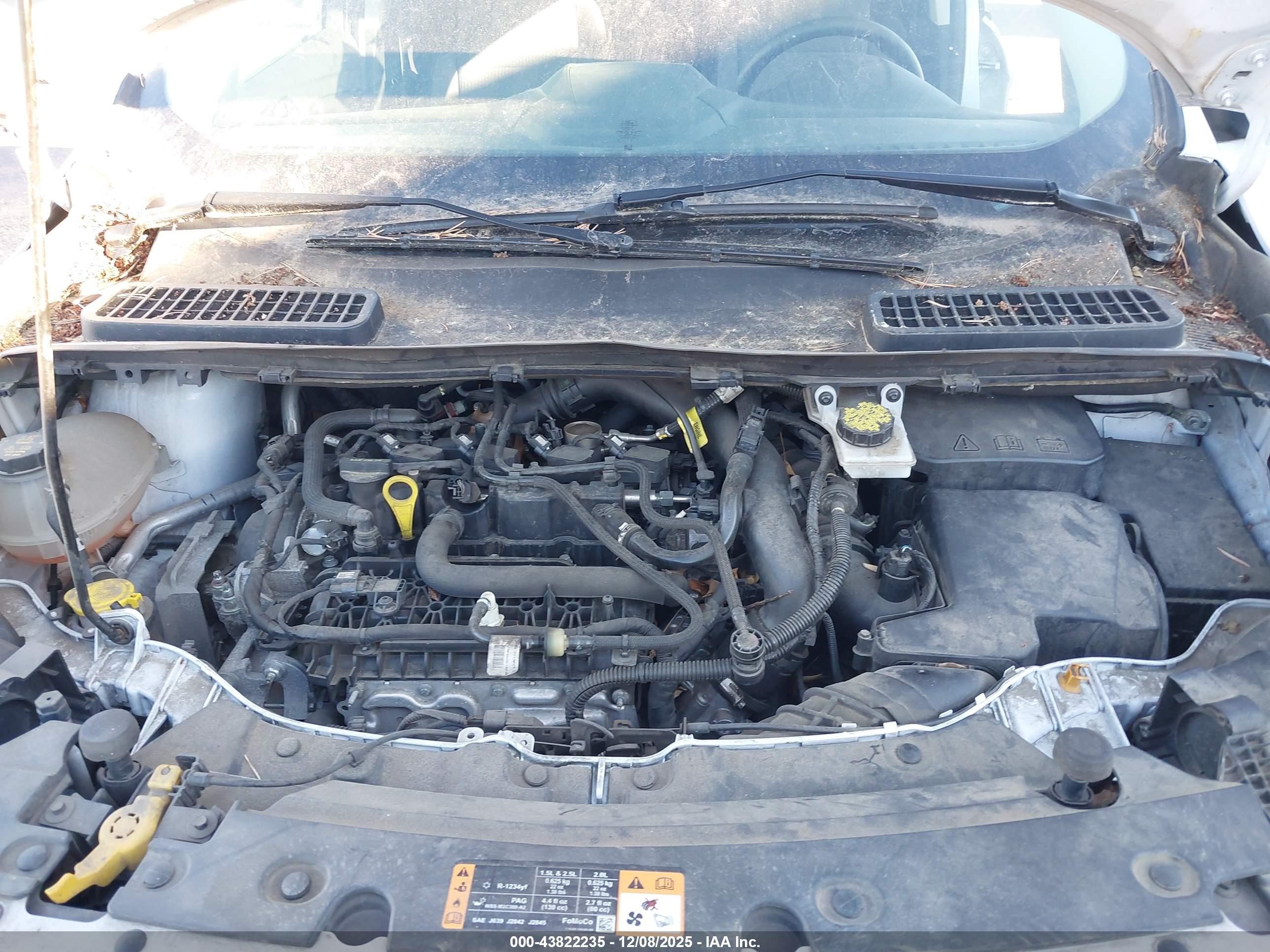 FORD ESCAPE image 10