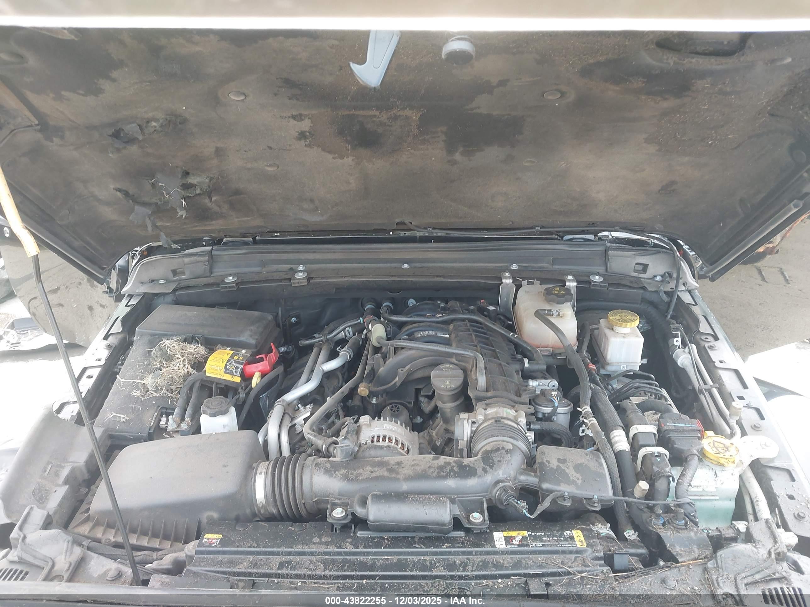 JEEP GLADIATOR image 10