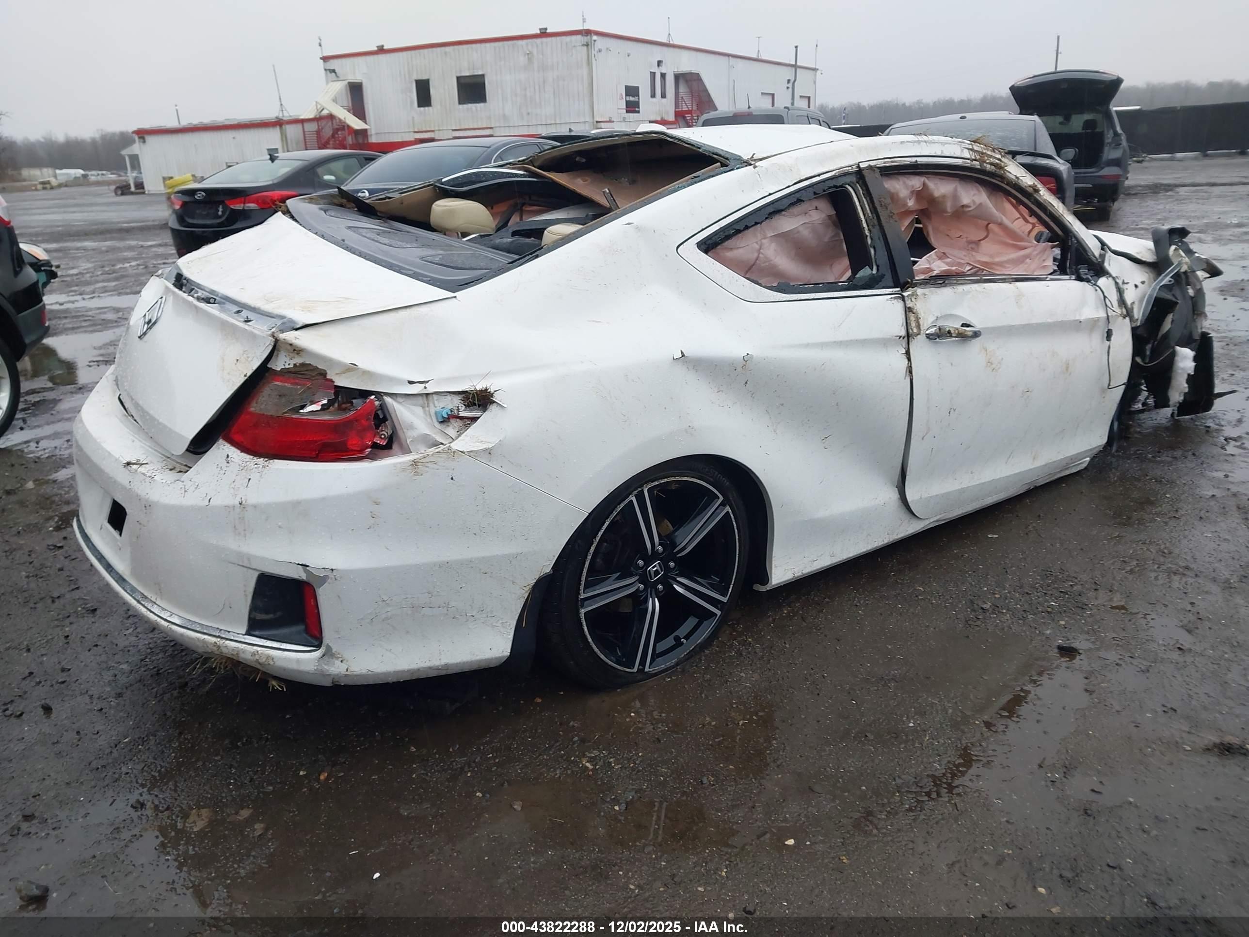 HONDA ACCORD image 4