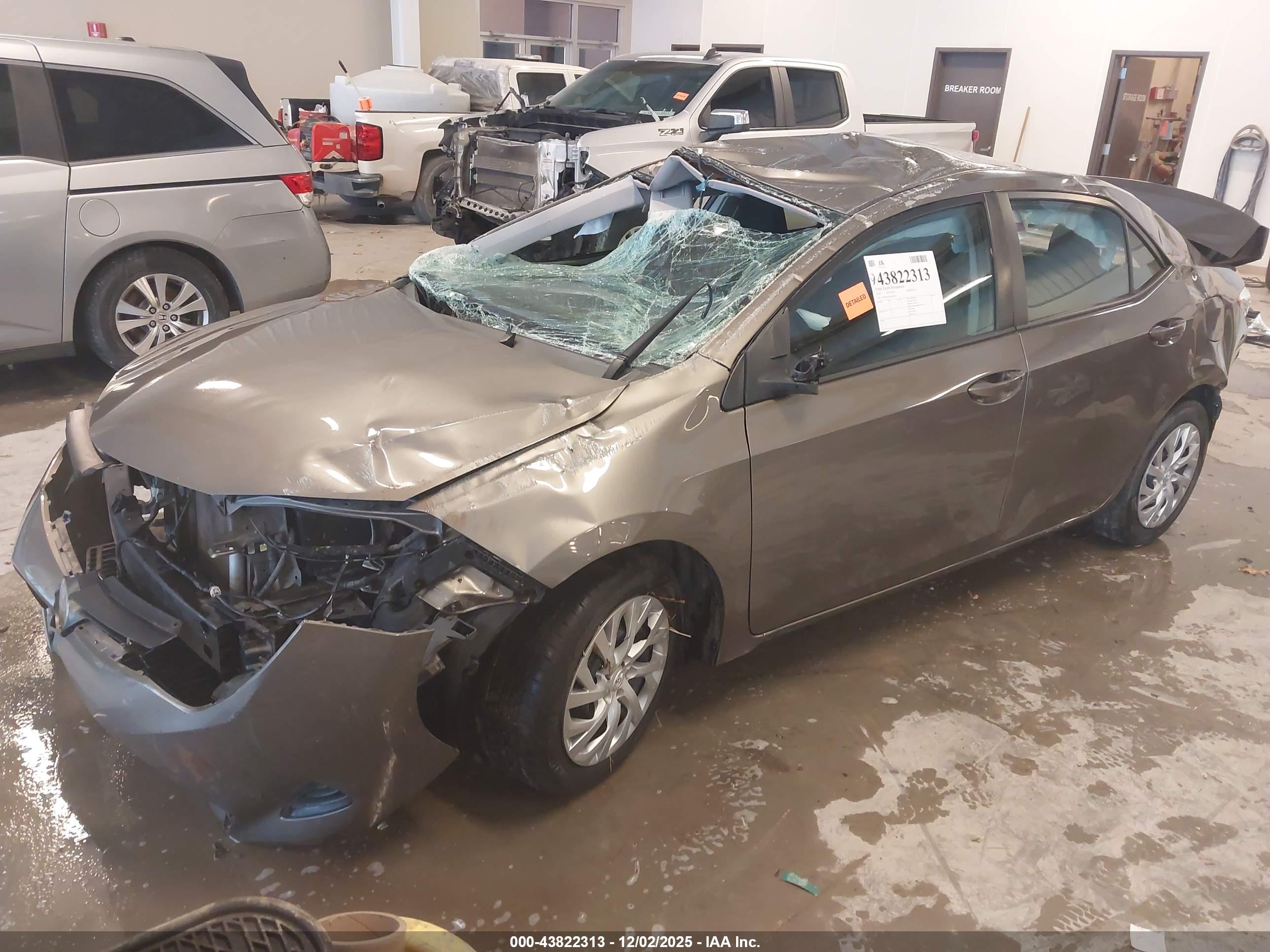 TOYOTA COROLLA image 2
