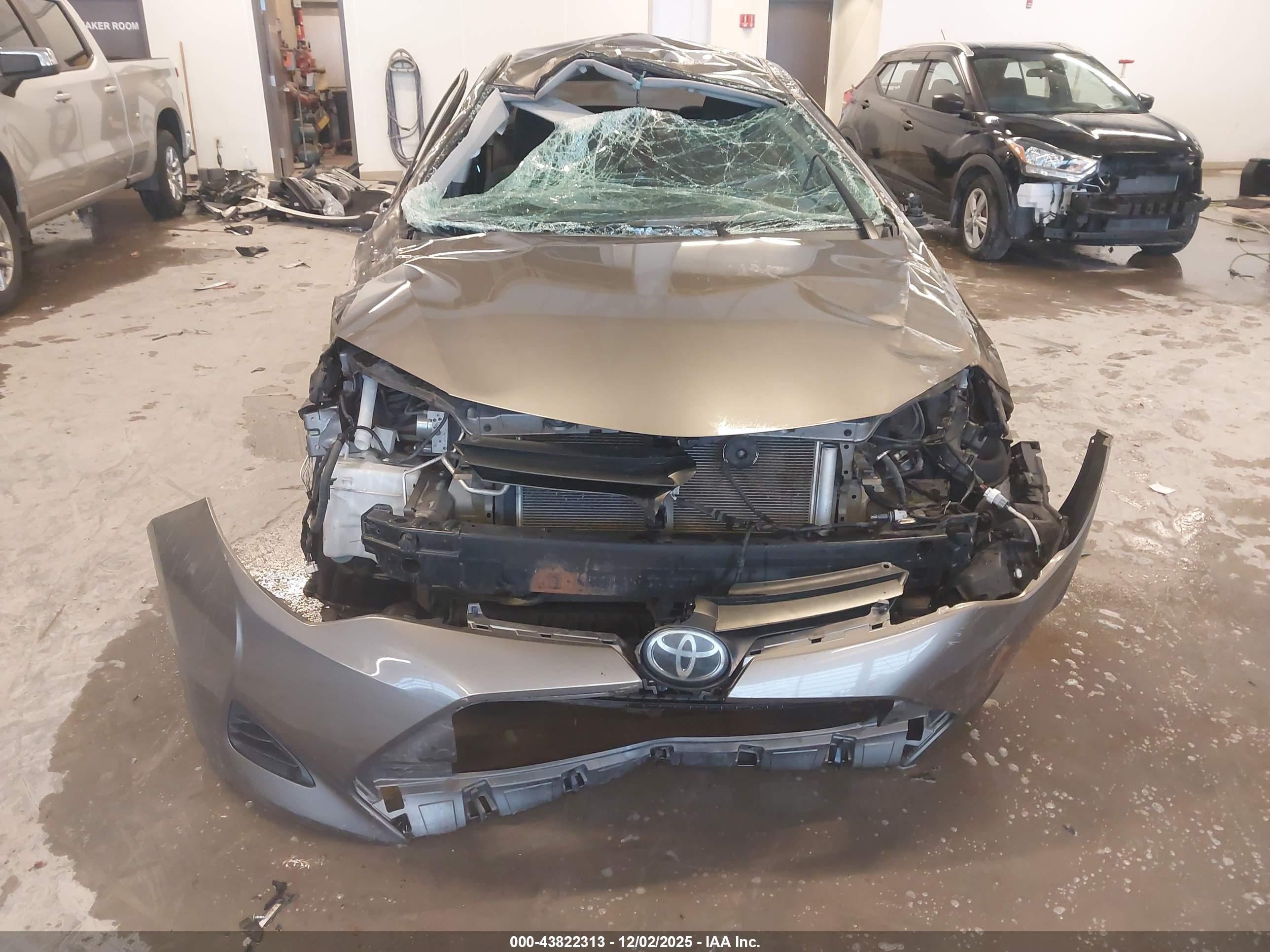 TOYOTA COROLLA image 6