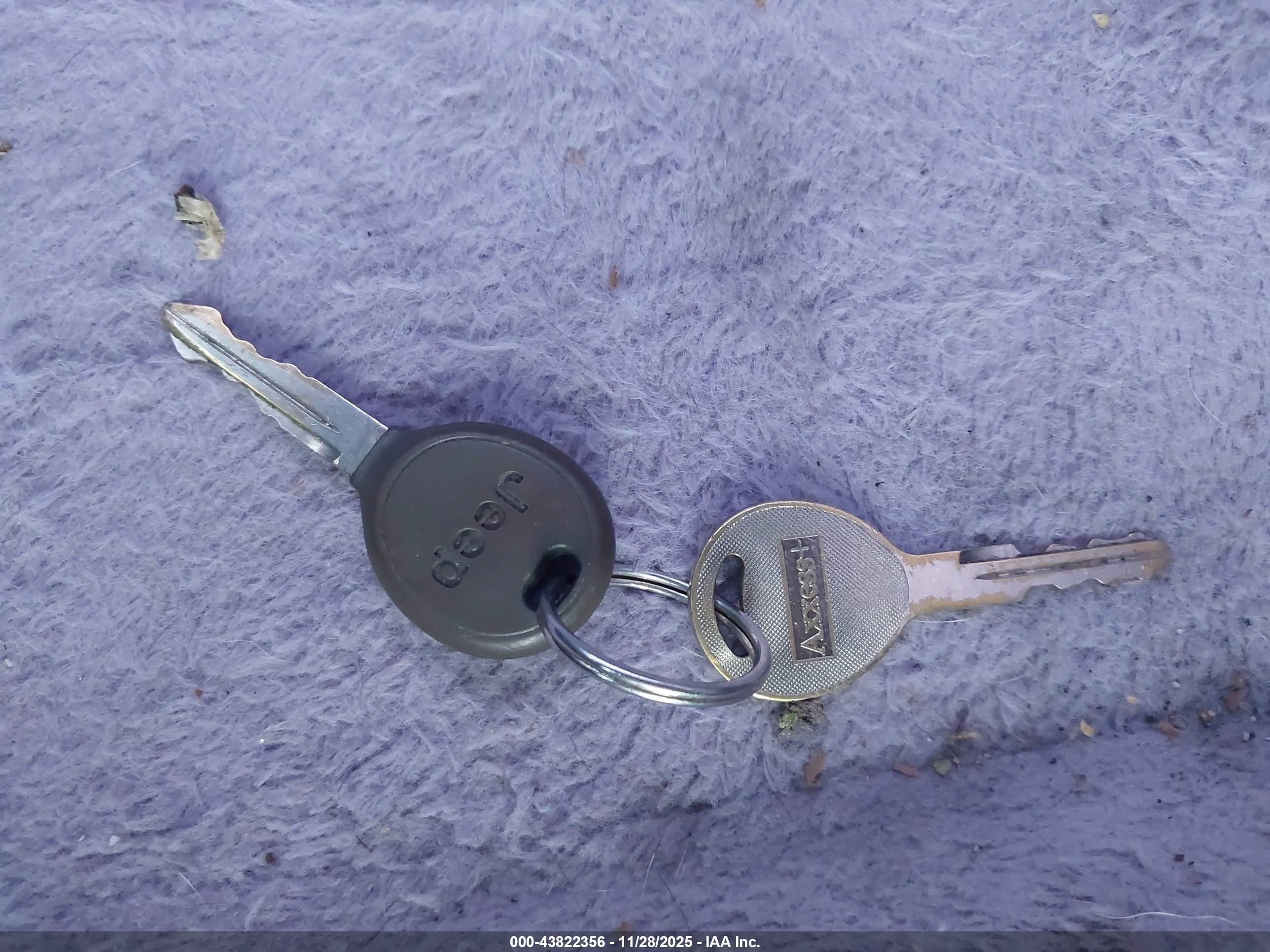 JEEP WRANGLER image 11