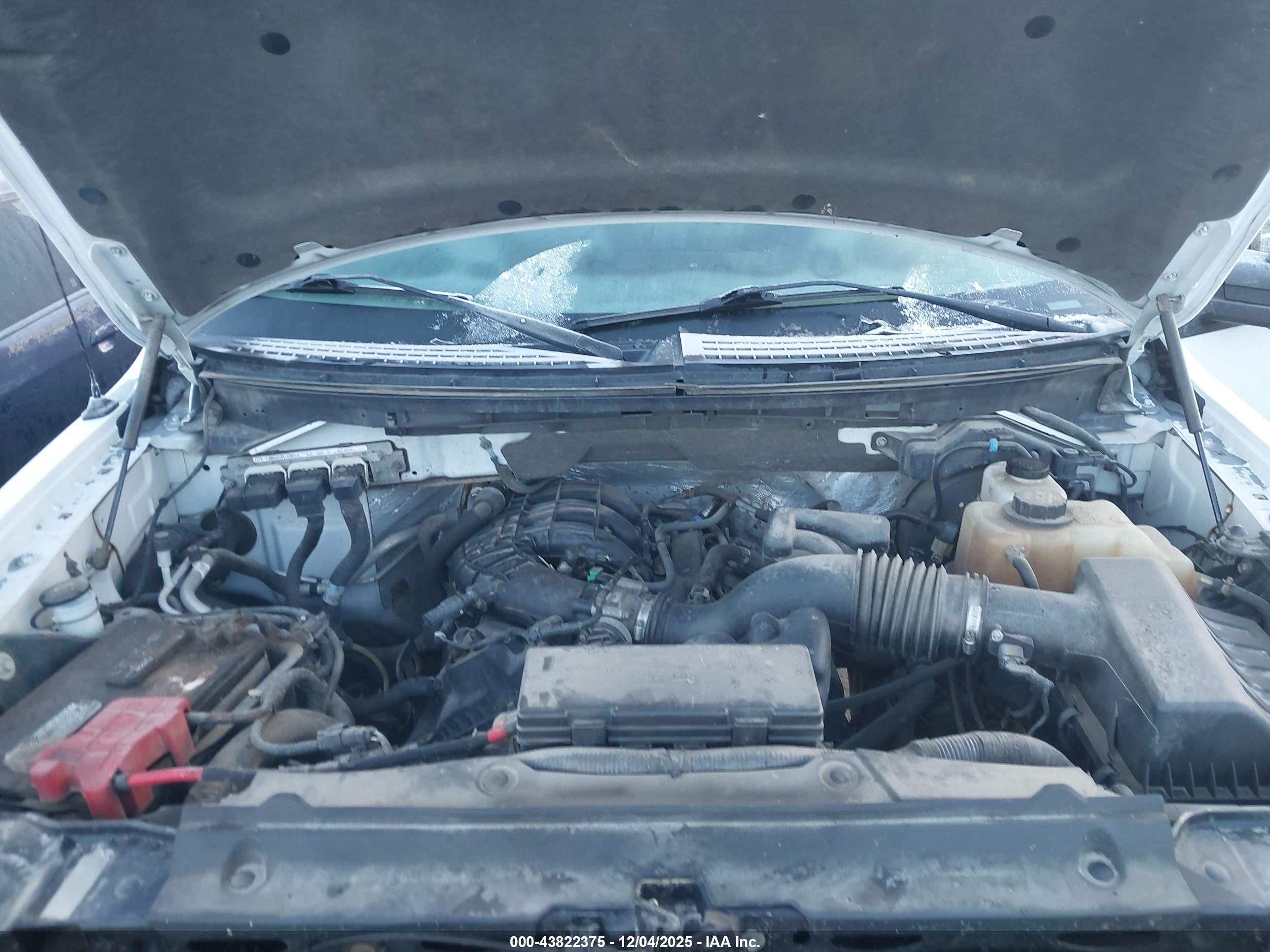 FORD F-150 image 10