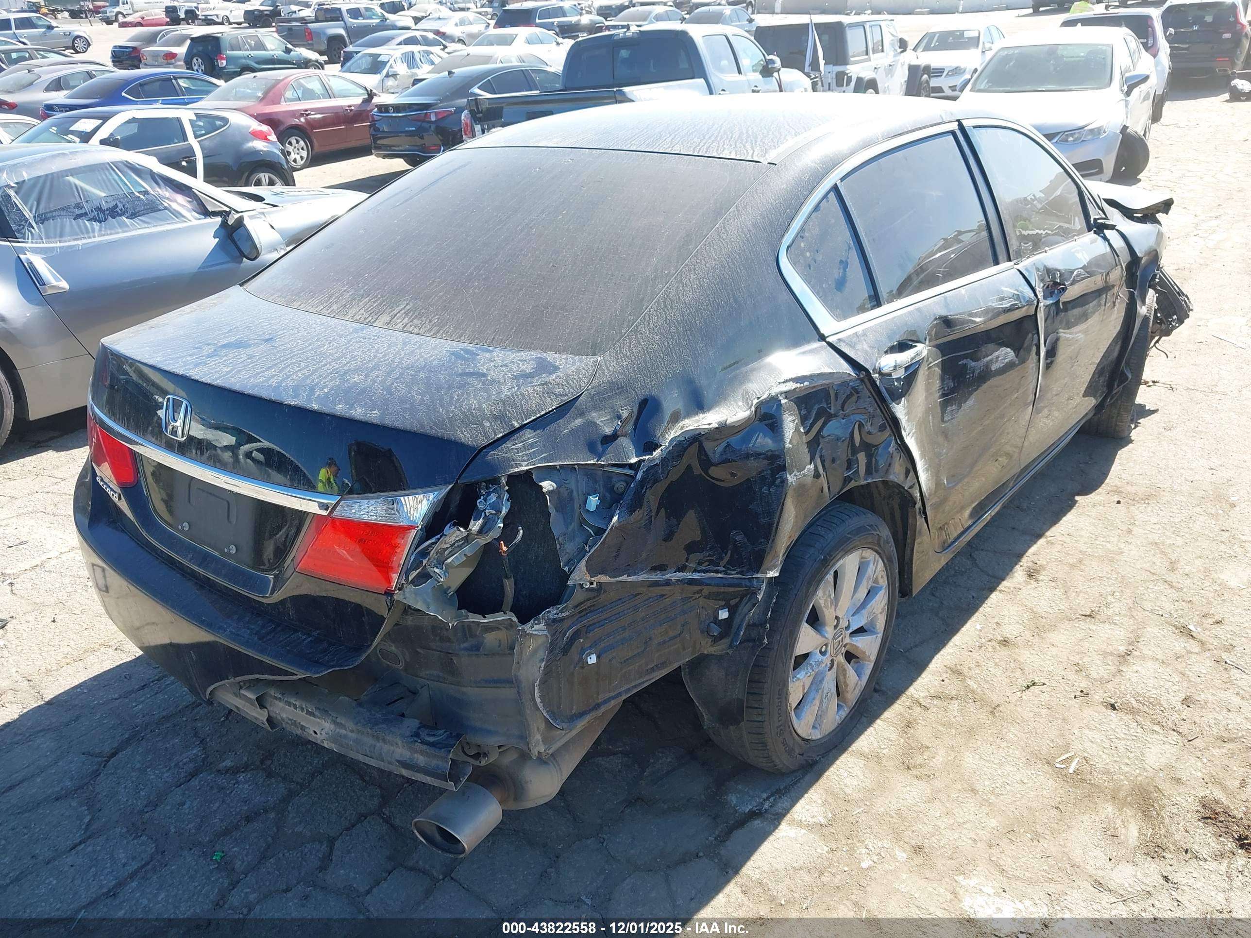 HONDA ACCORD image 4