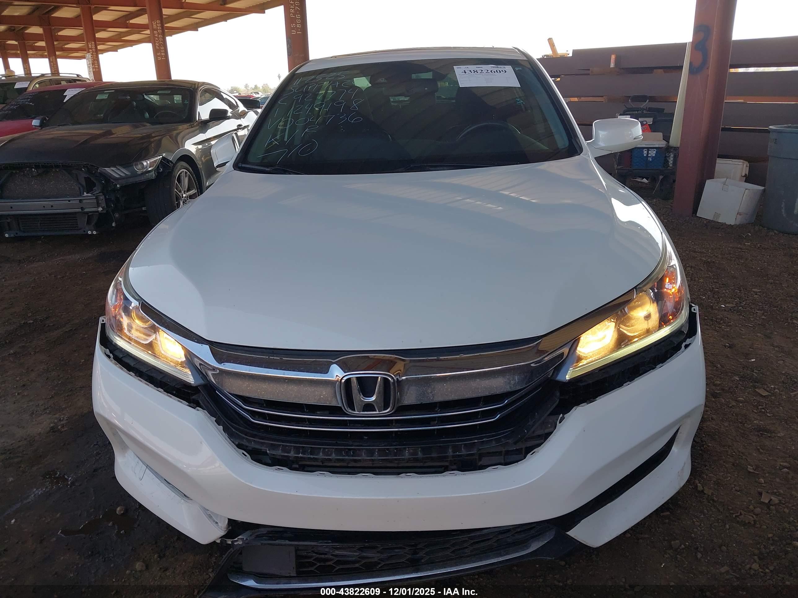 HONDA ACCORD image 6