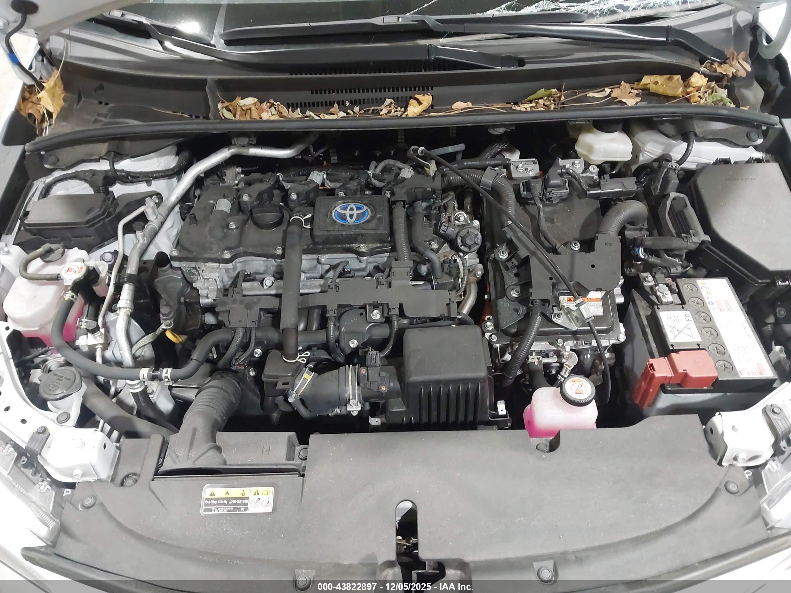 TOYOTA COROLLA image 10