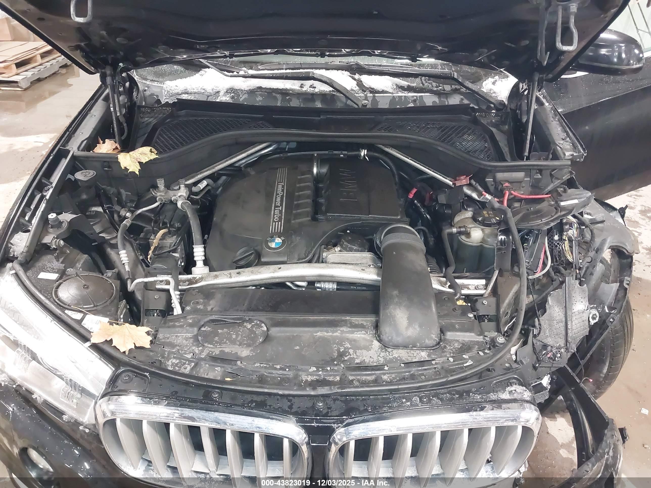 BMW X5 image 10