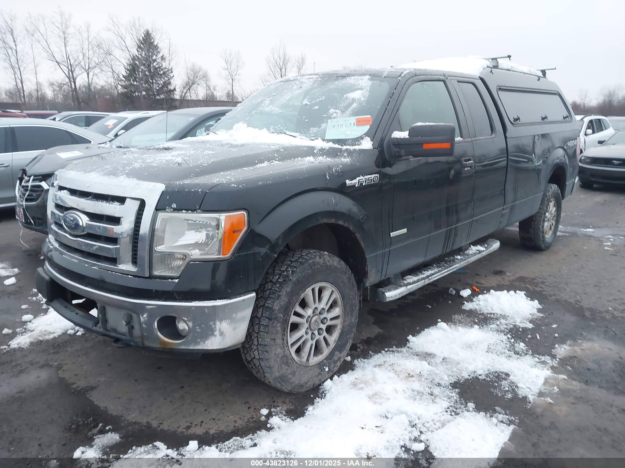 FORD F-150 image 2
