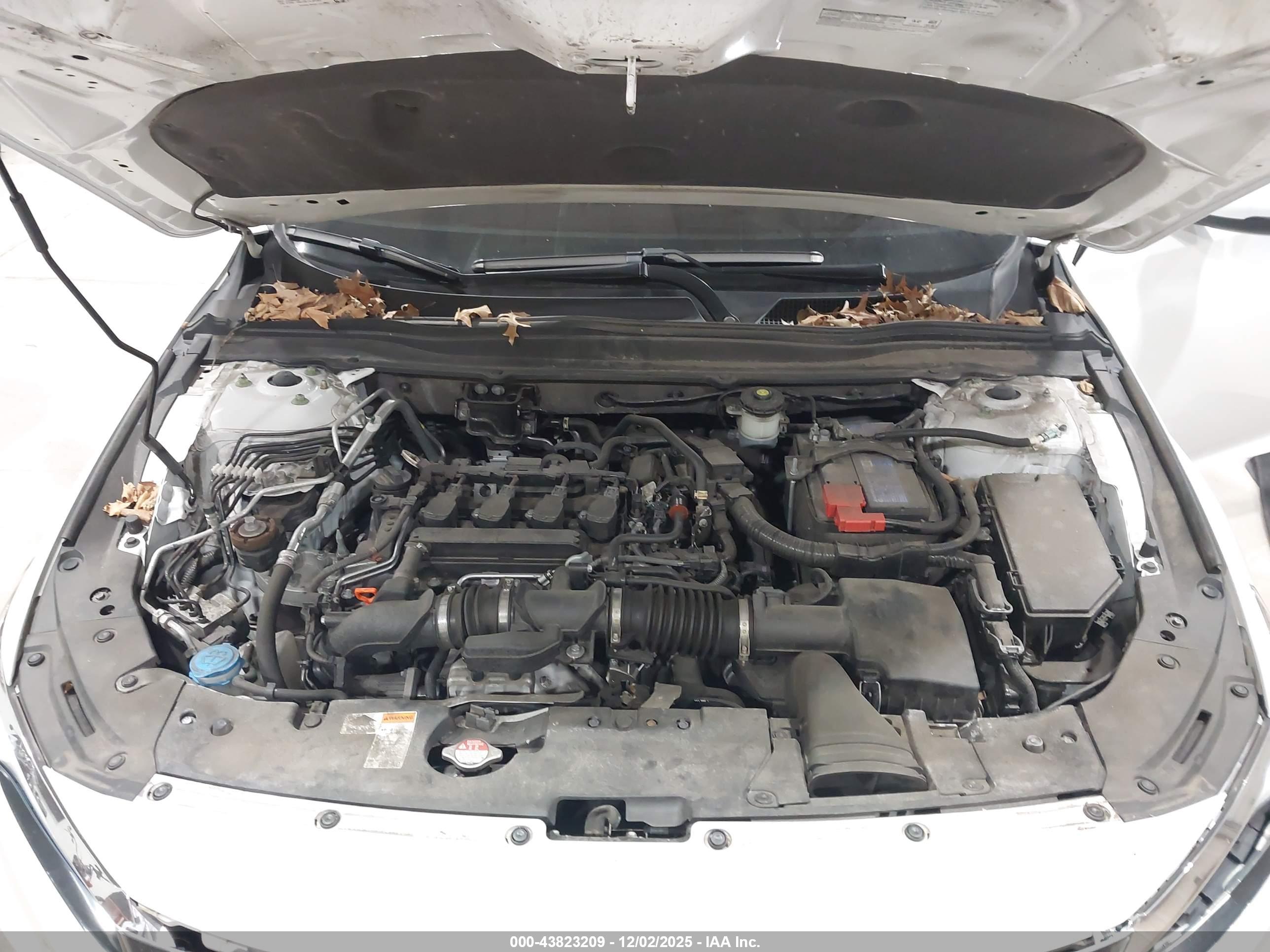 HONDA ACCORD image 10