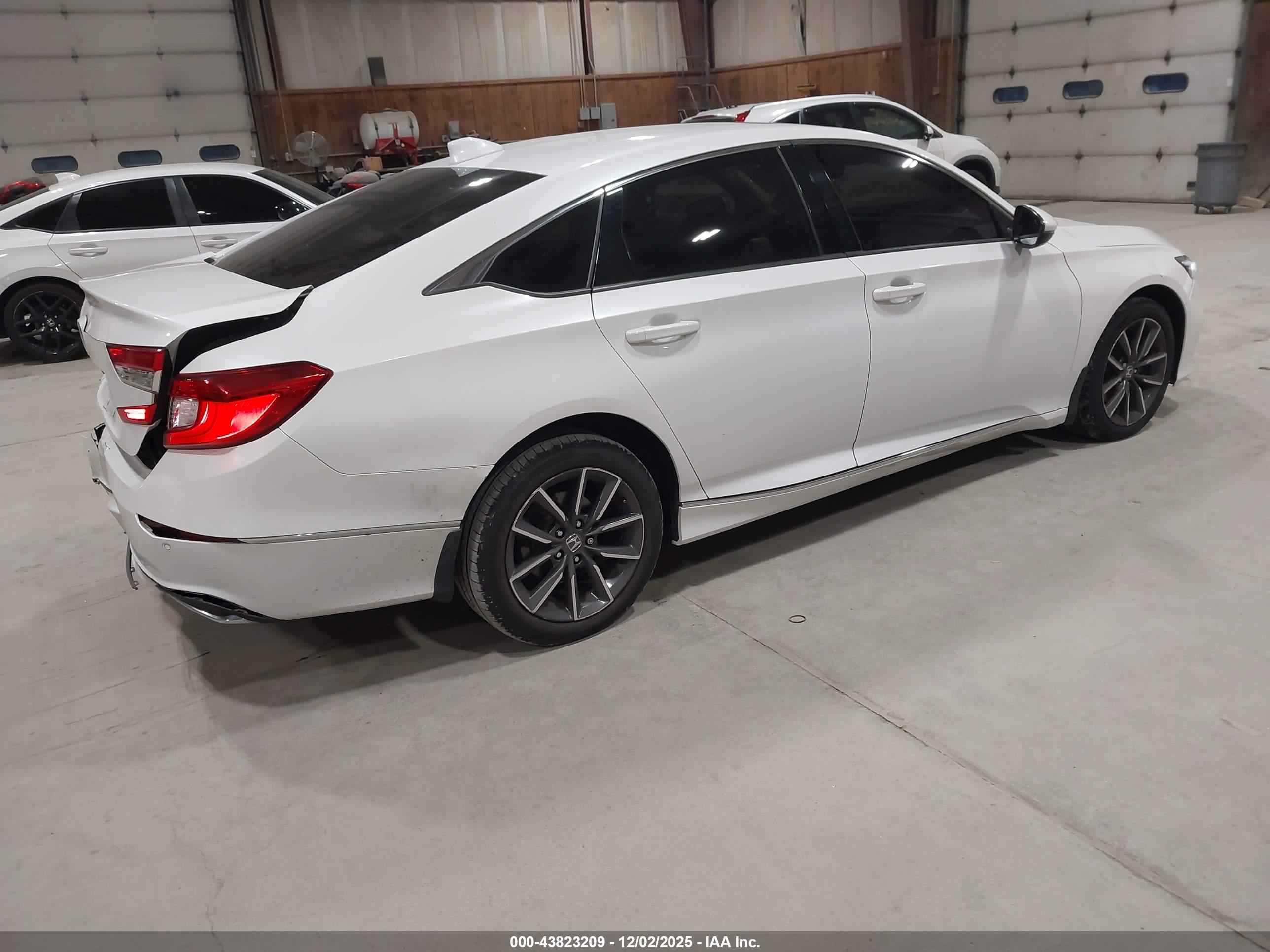 HONDA ACCORD image 4