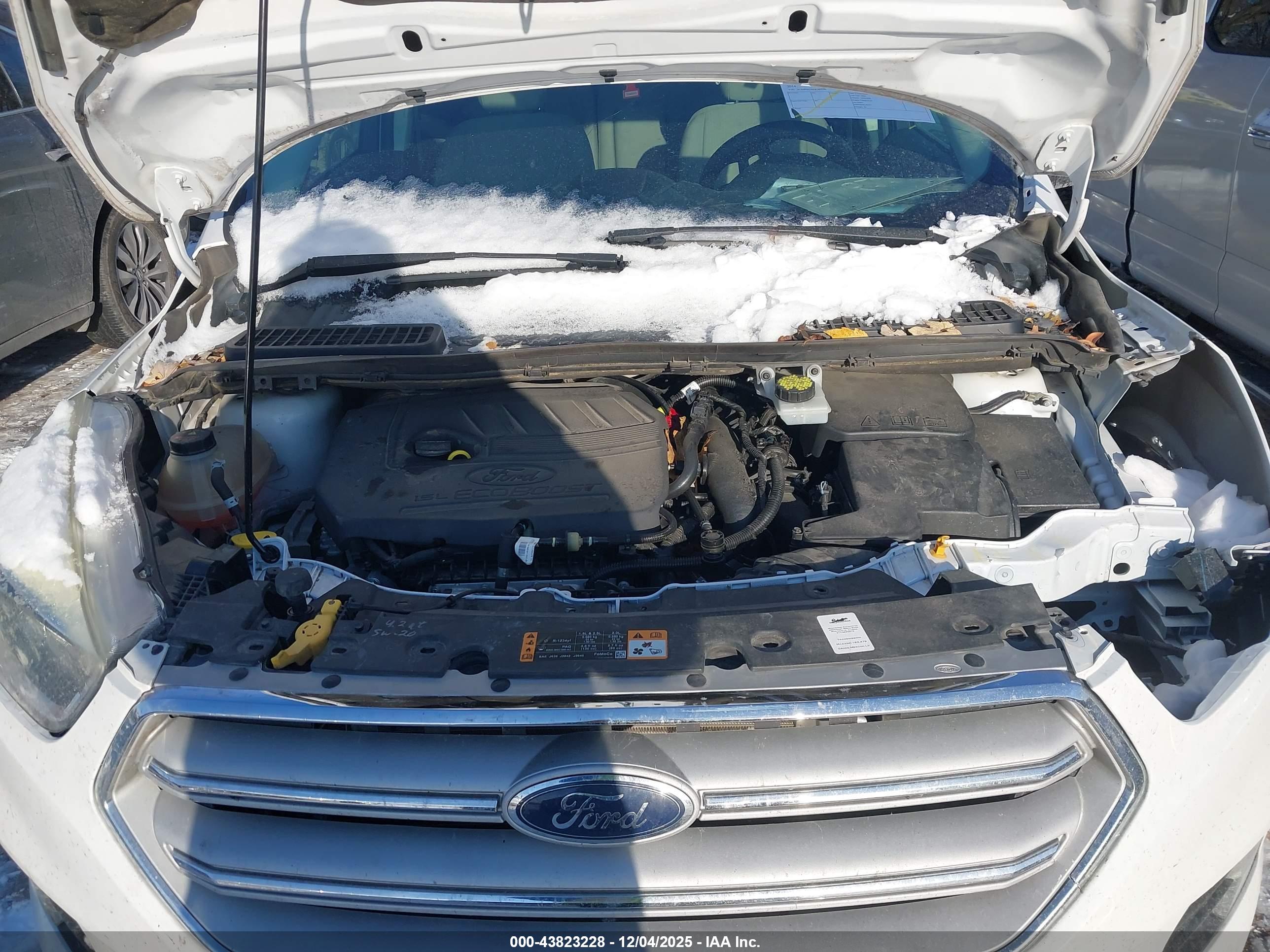 FORD ESCAPE image 10