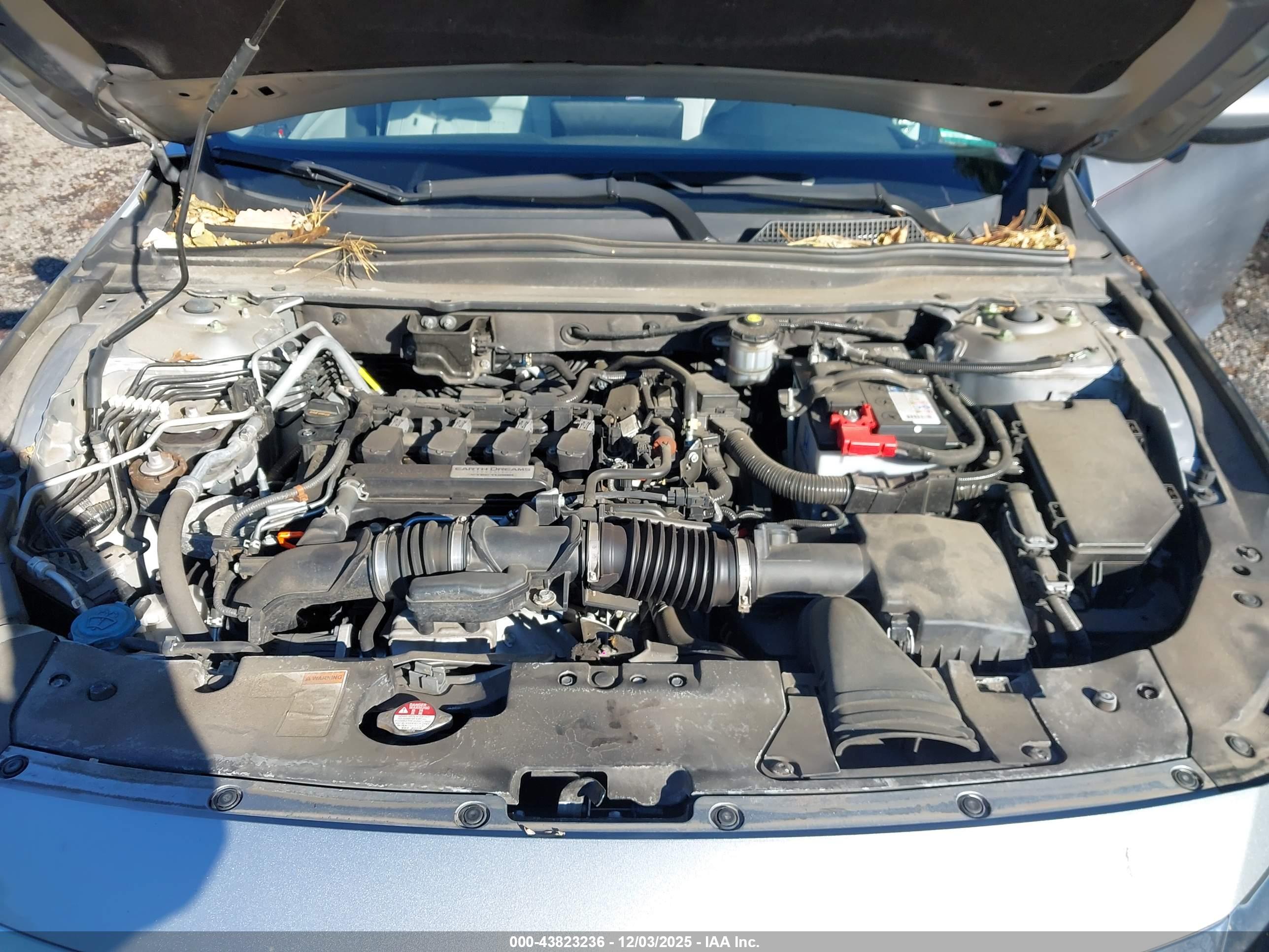 HONDA ACCORD image 10