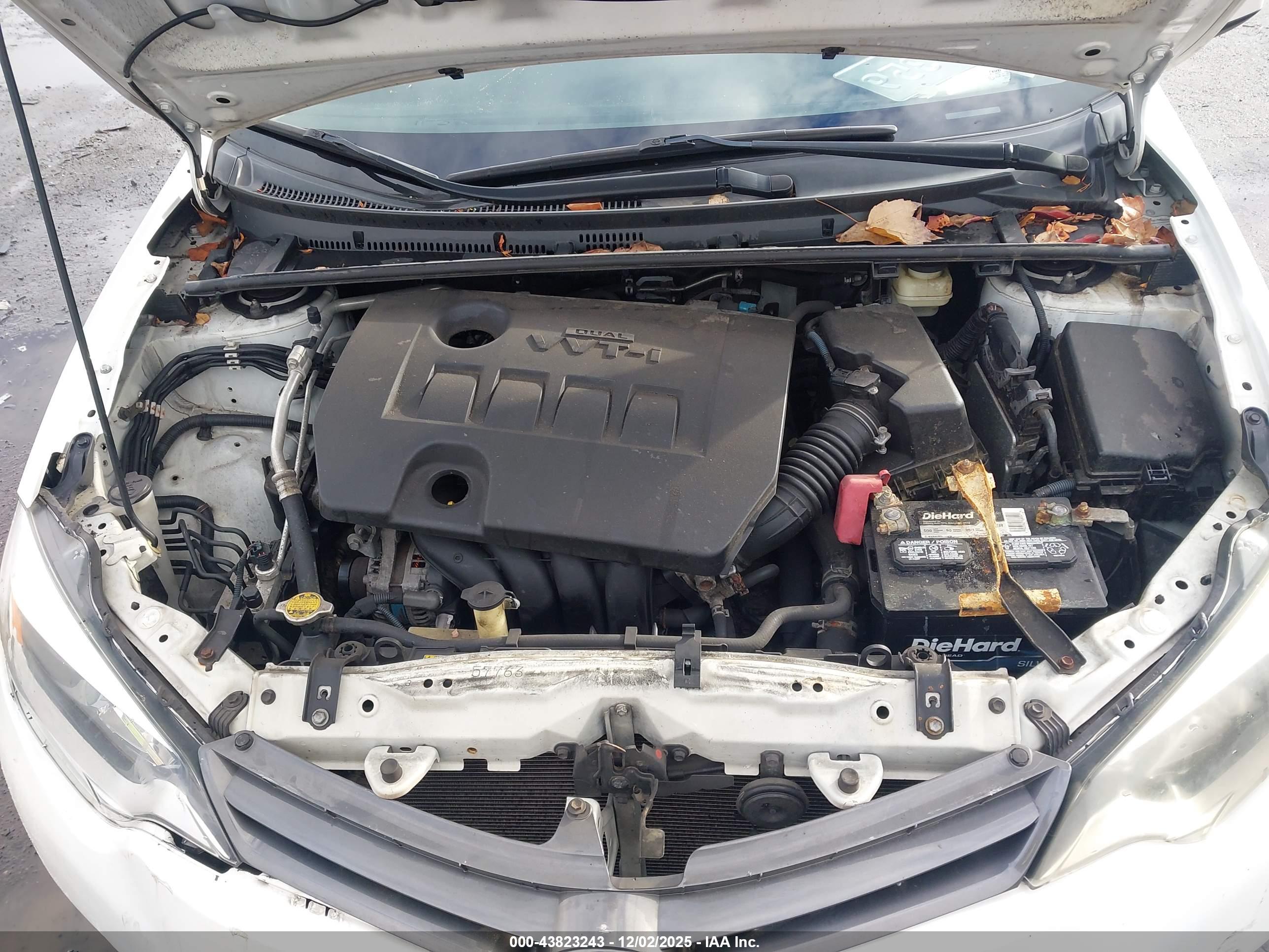 TOYOTA COROLLA image 10