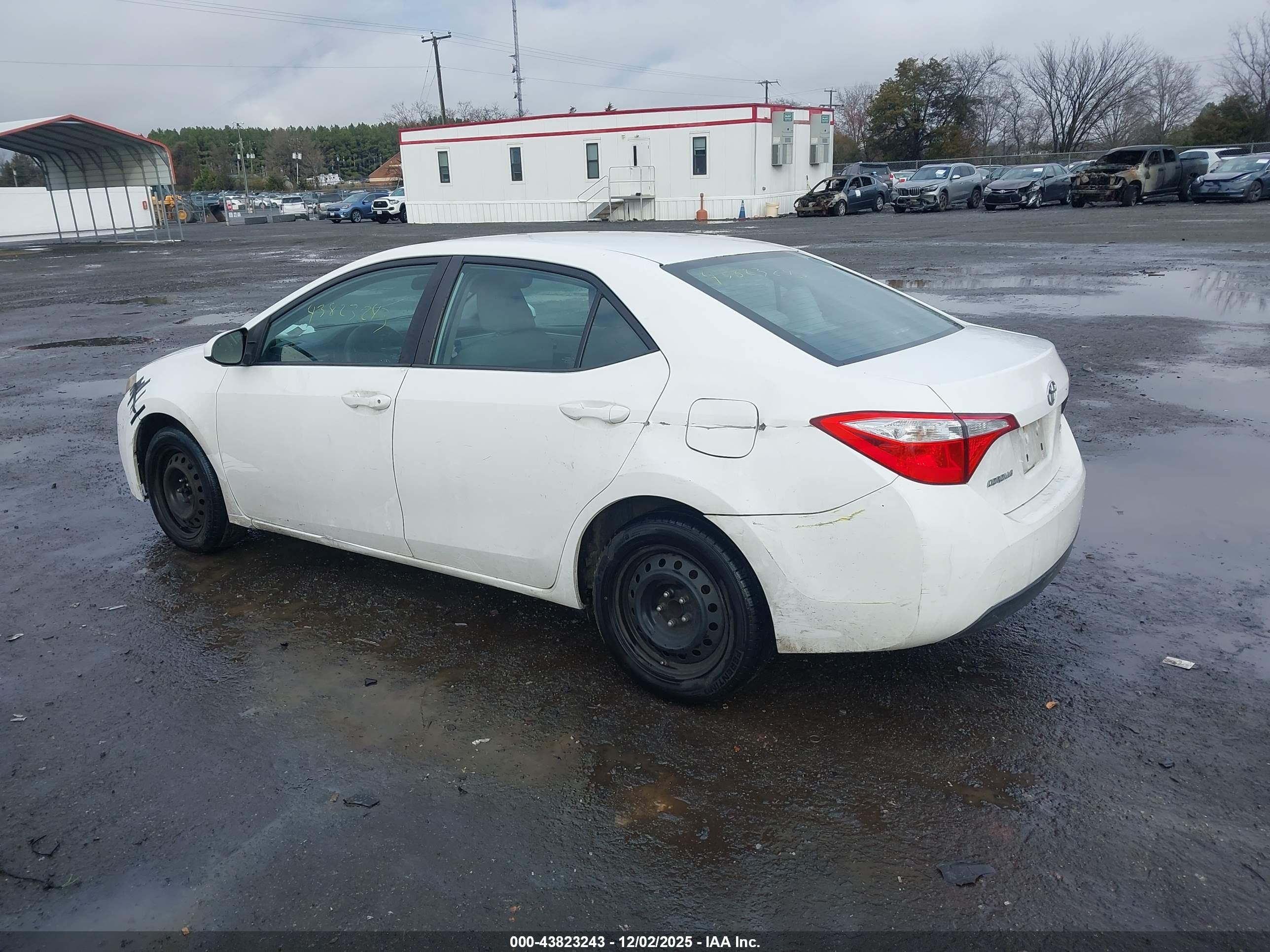 TOYOTA COROLLA image 3