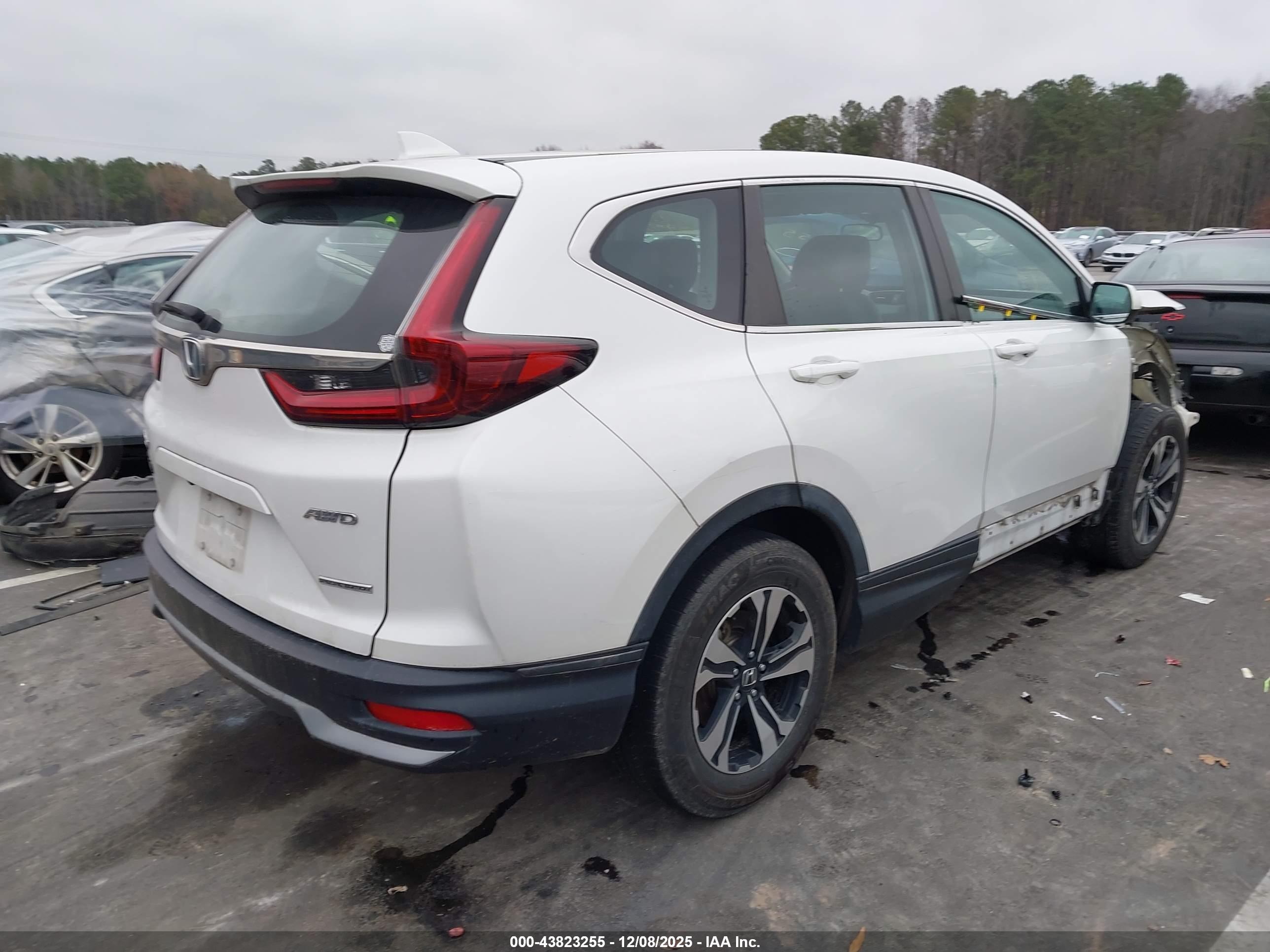 HONDA CR-V image 4