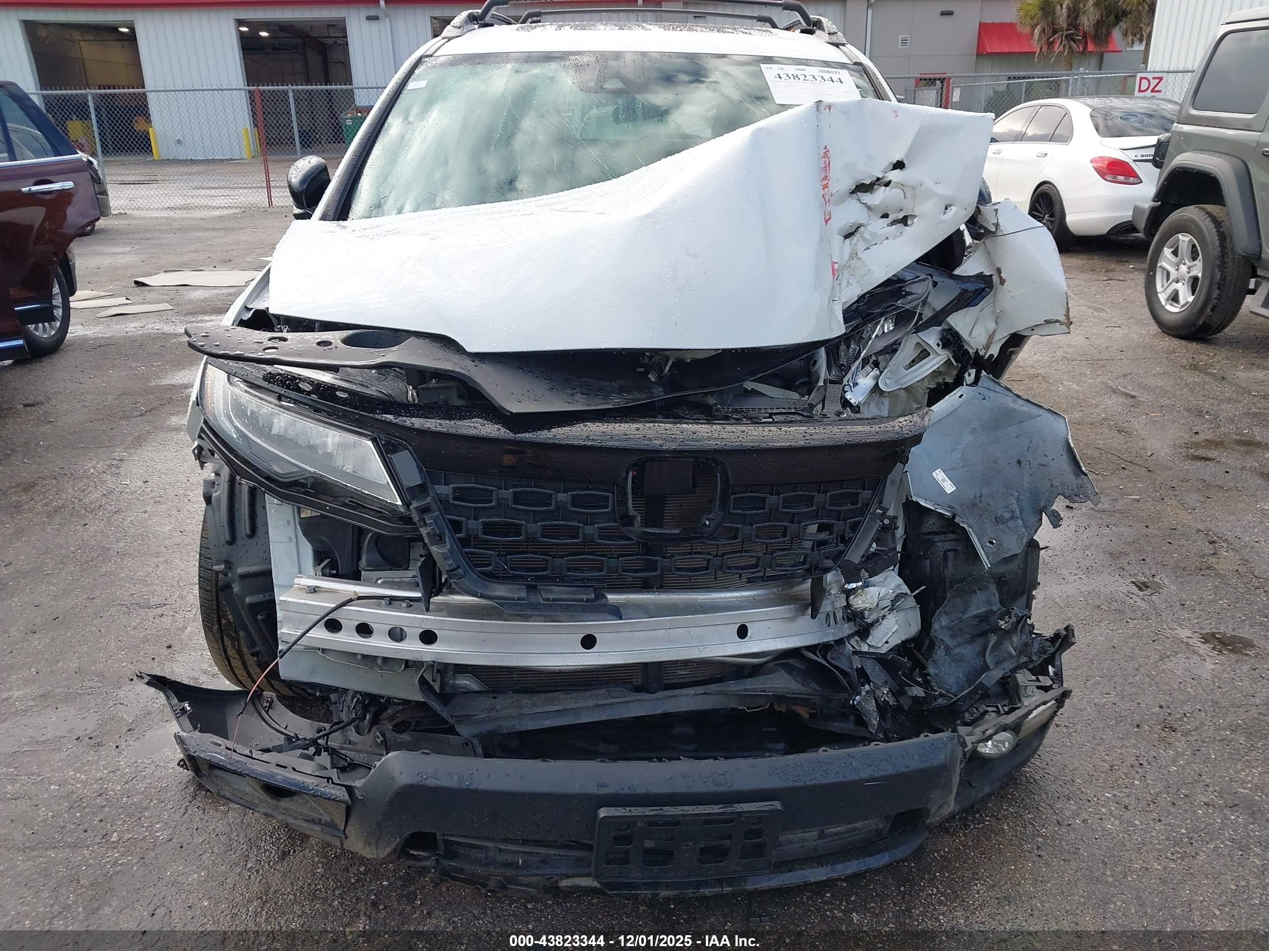 HONDA PASSPORT image 6