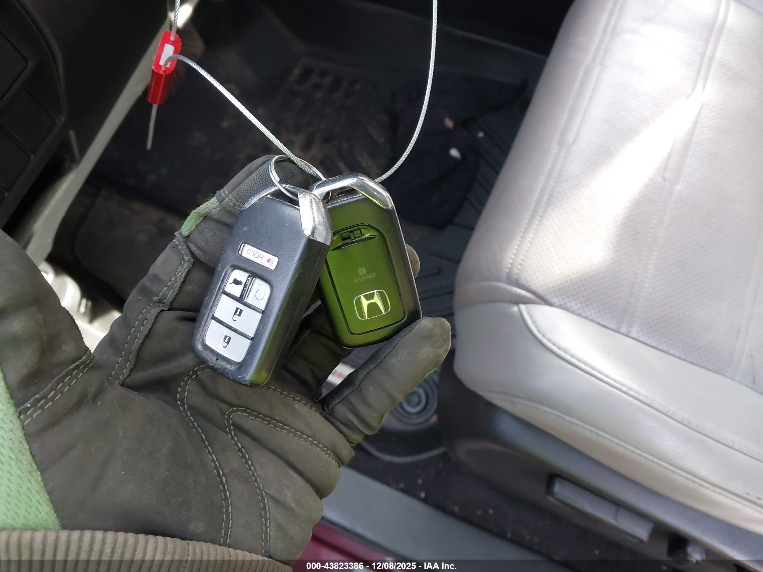 HONDA CR-V image 11
