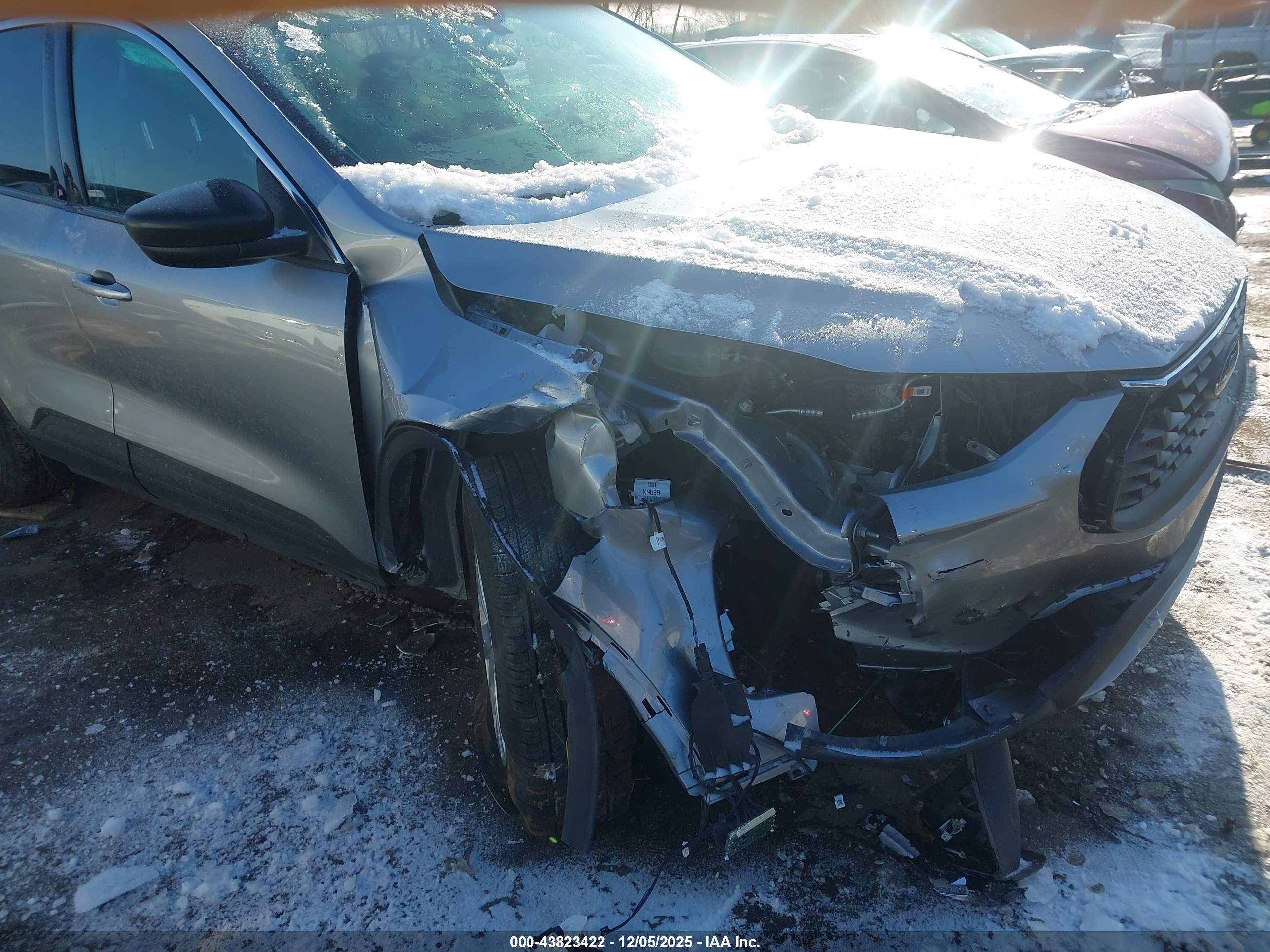 FORD ESCAPE image 6