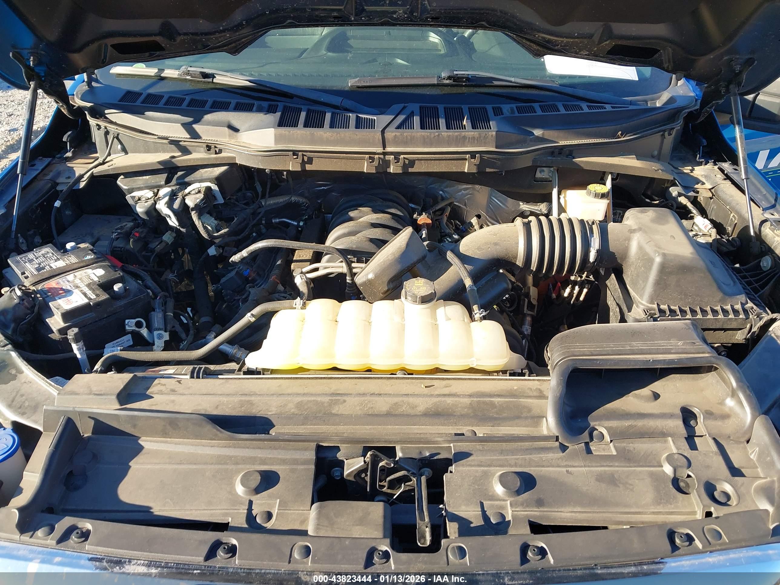 FORD F-150 image 10