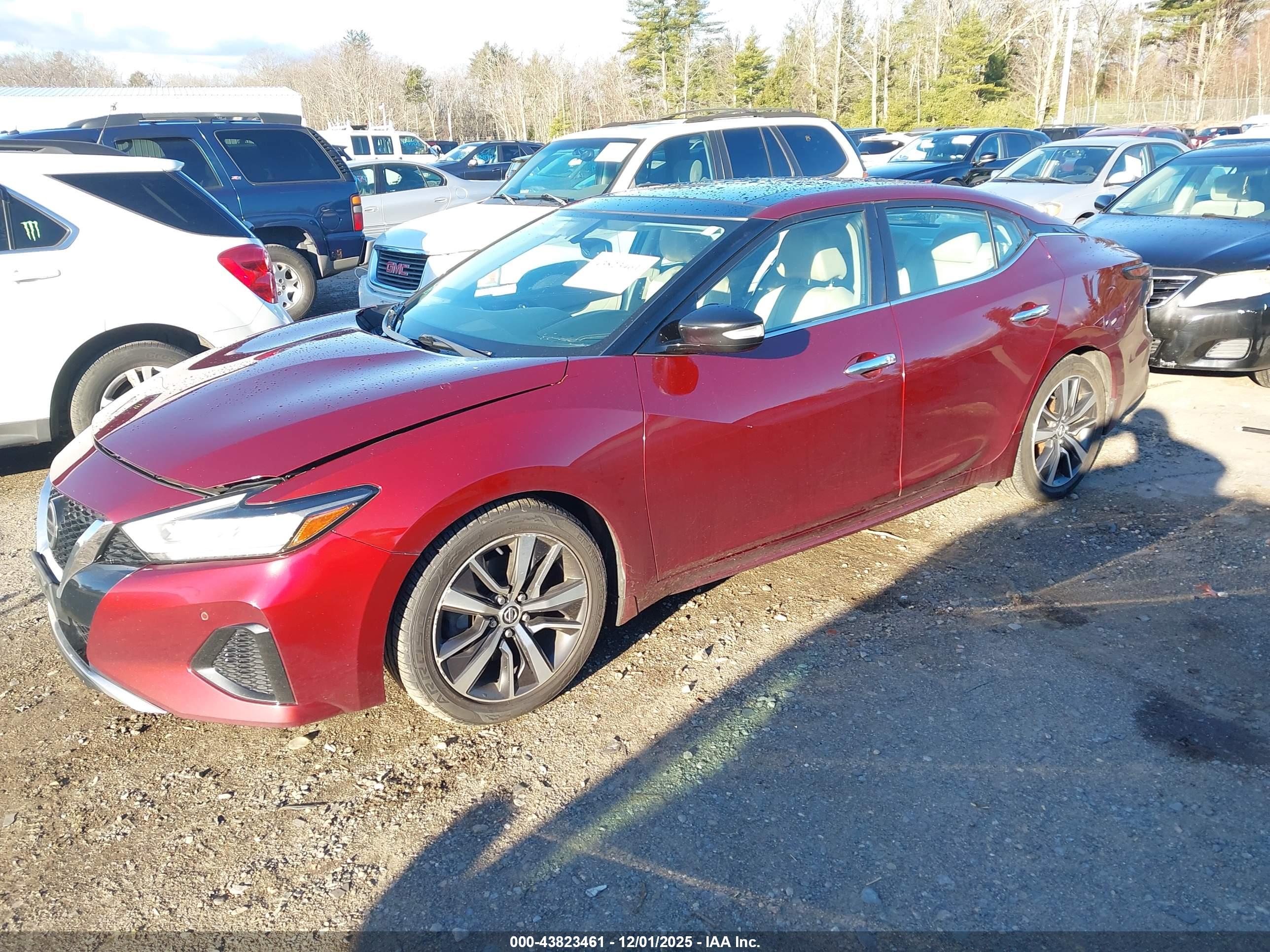NISSAN MAXIMA image 2