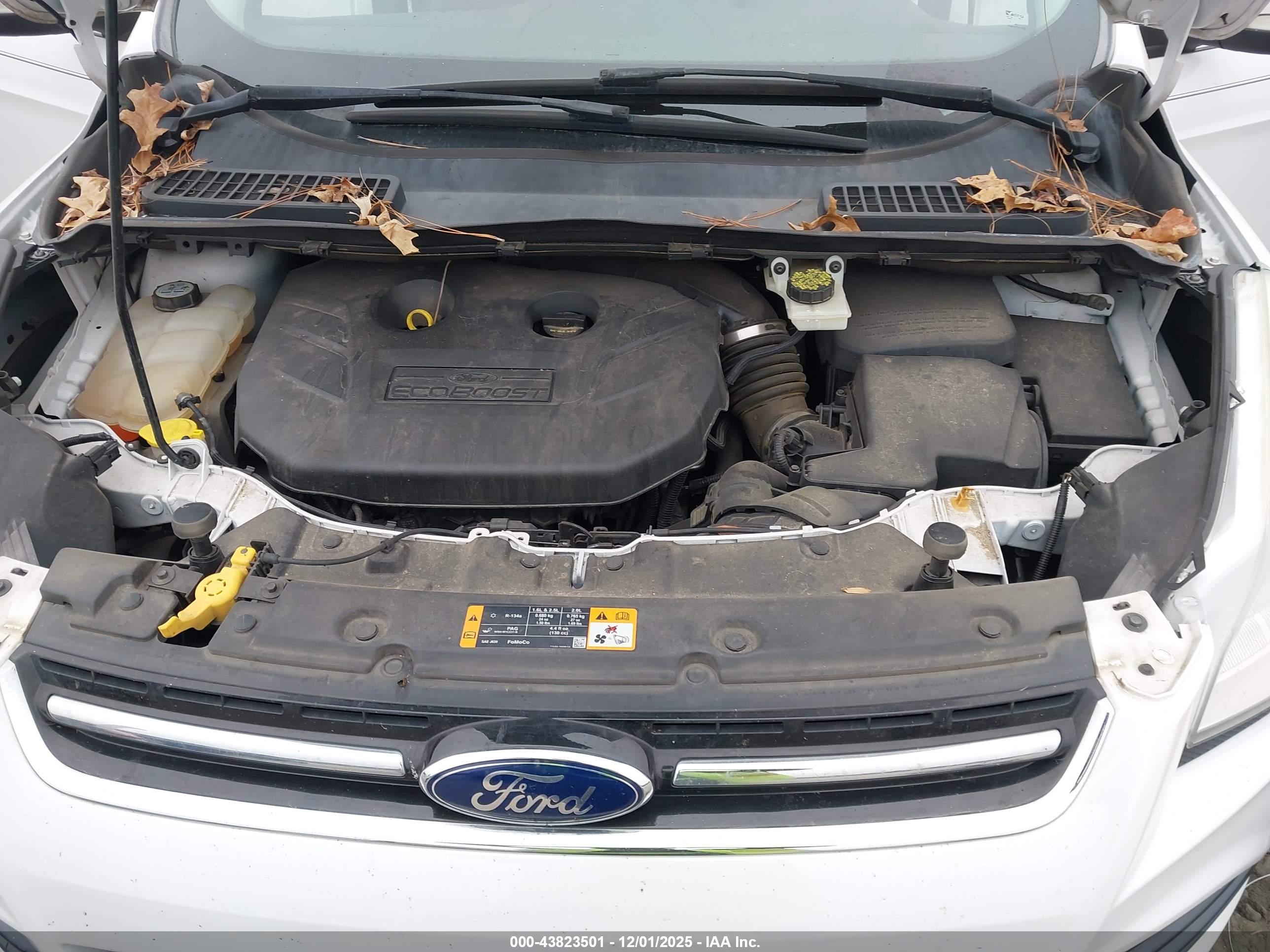 FORD ESCAPE image 10