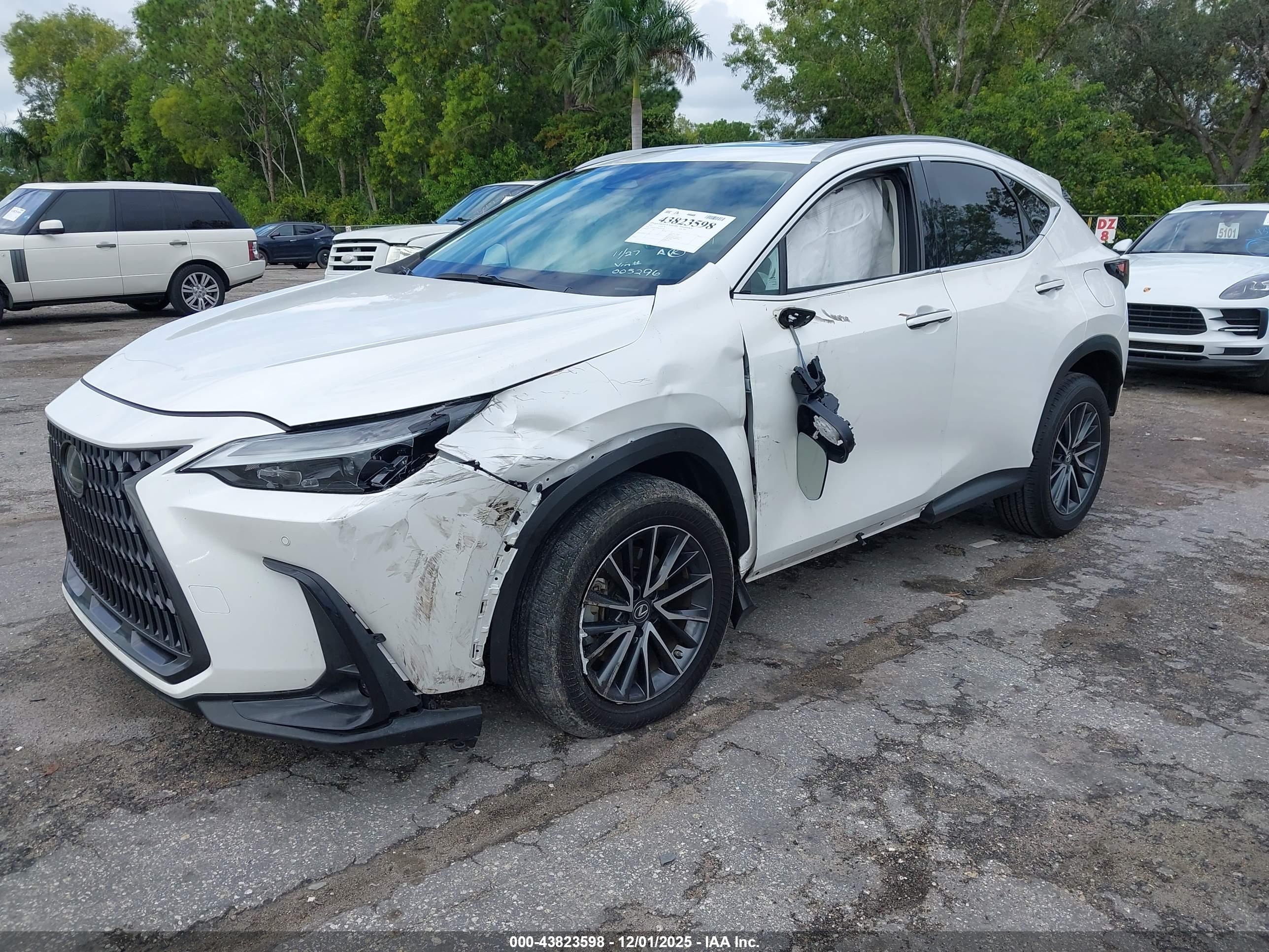LEXUS NX image 2