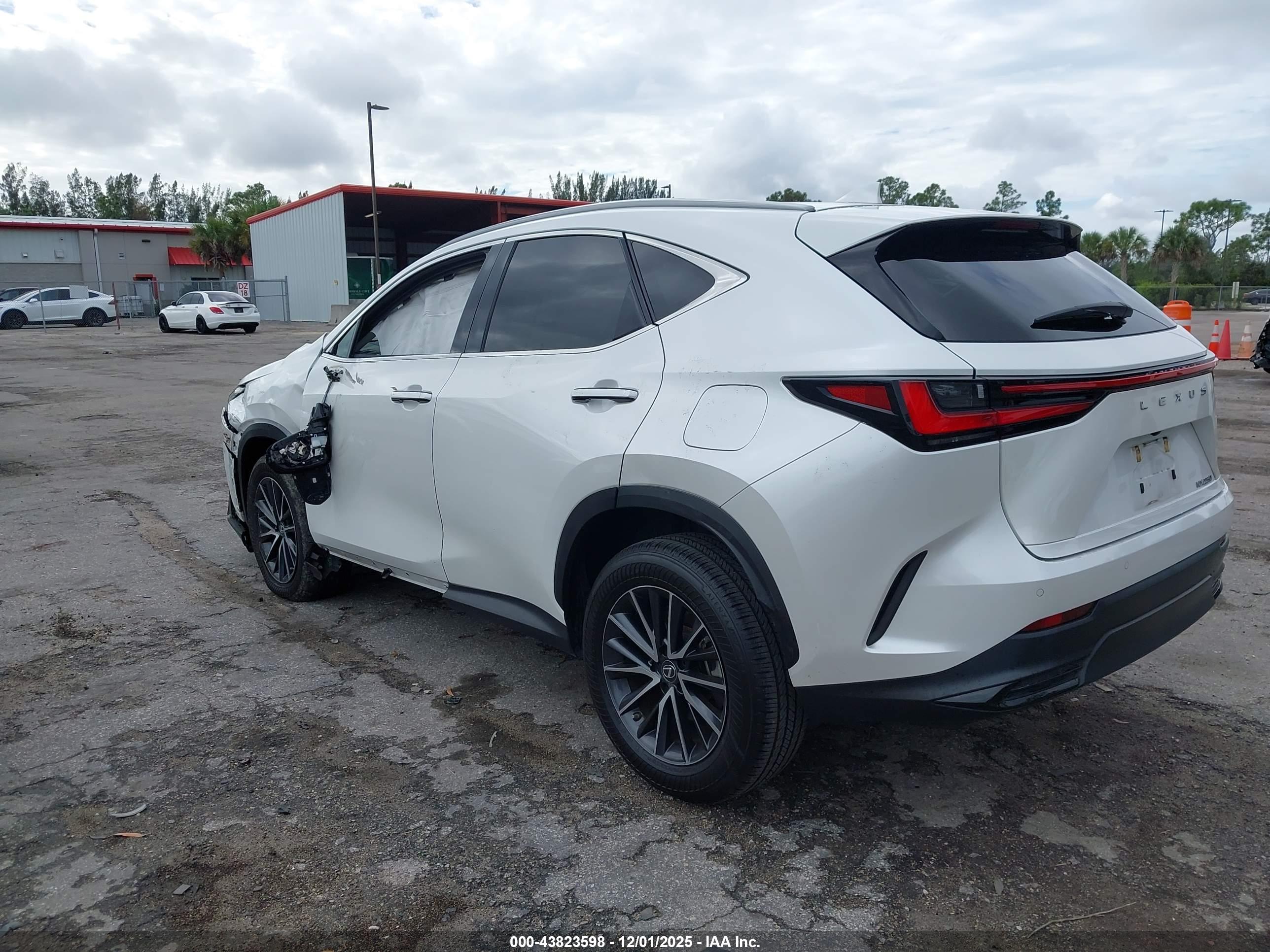 LEXUS NX image 3