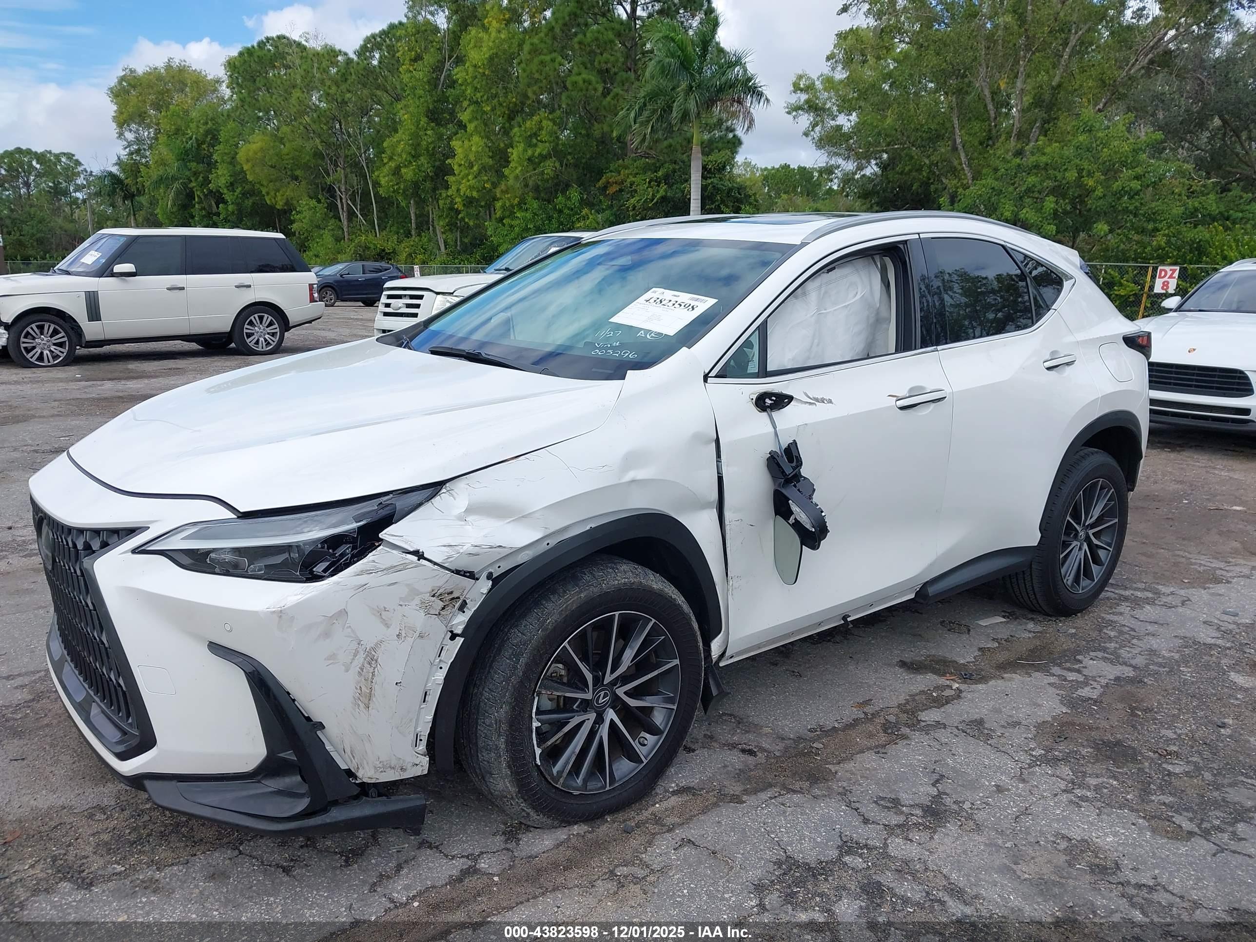 LEXUS NX image 6