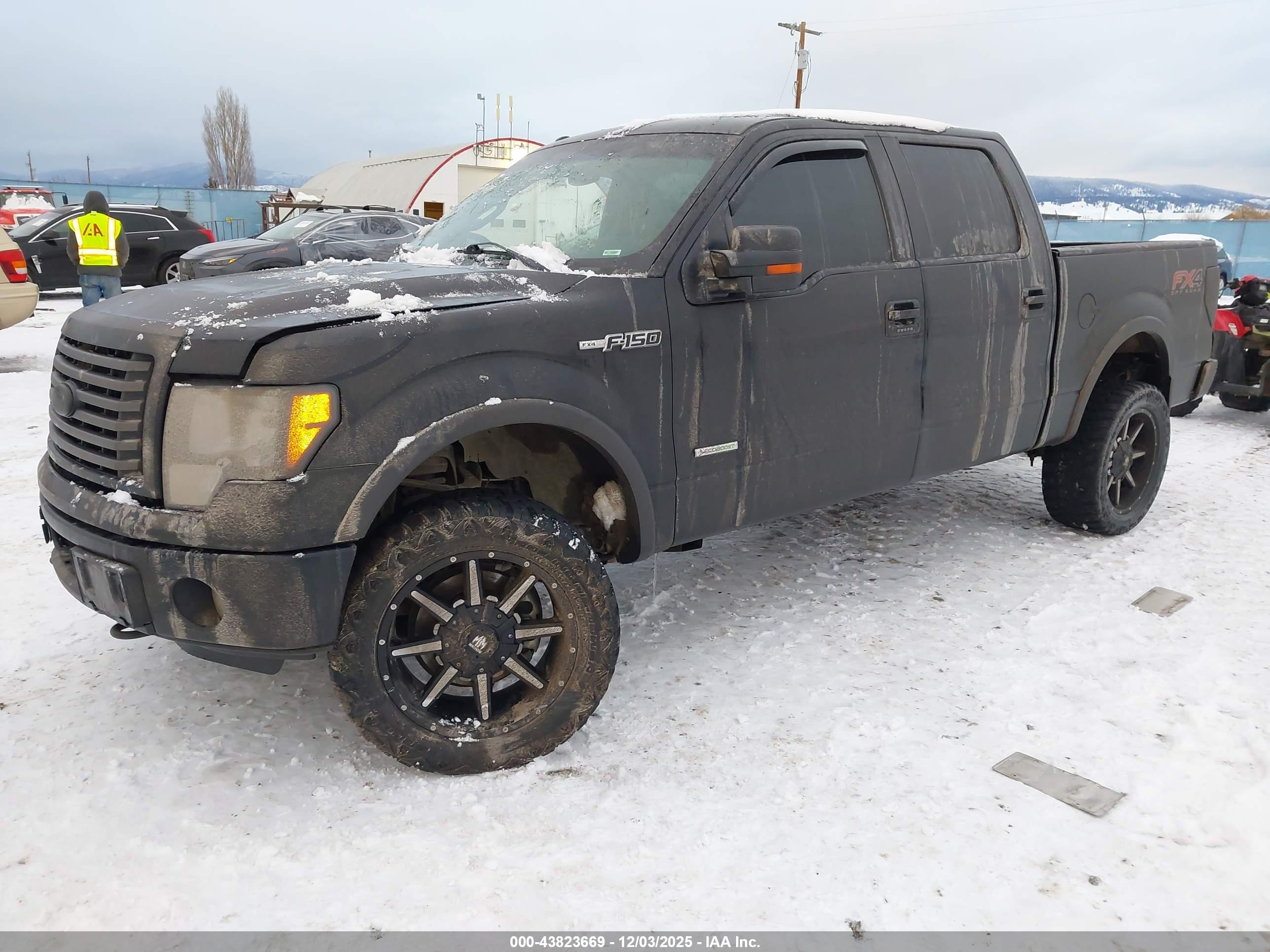 FORD F-150 image 2
