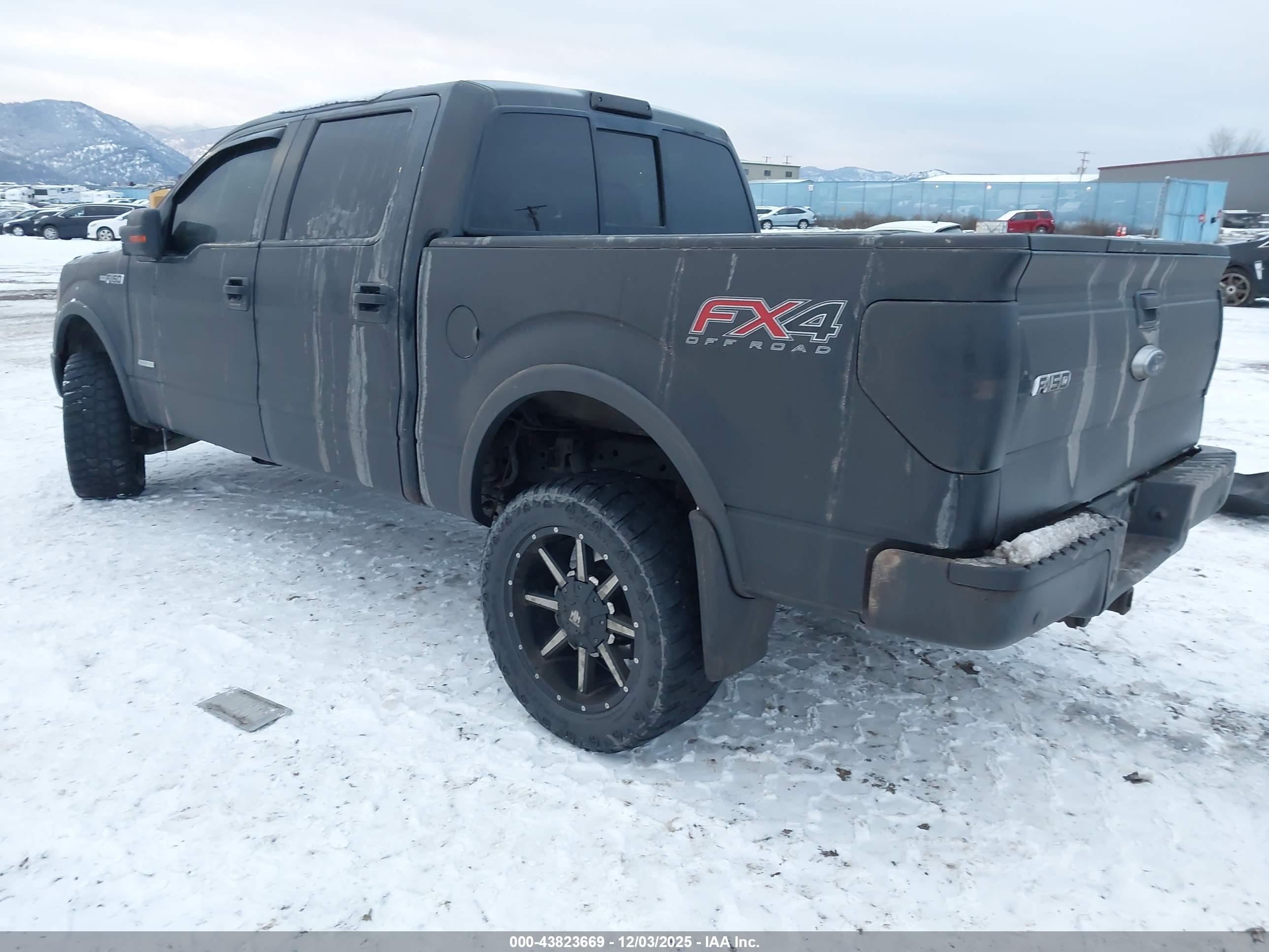 FORD F-150 image 3