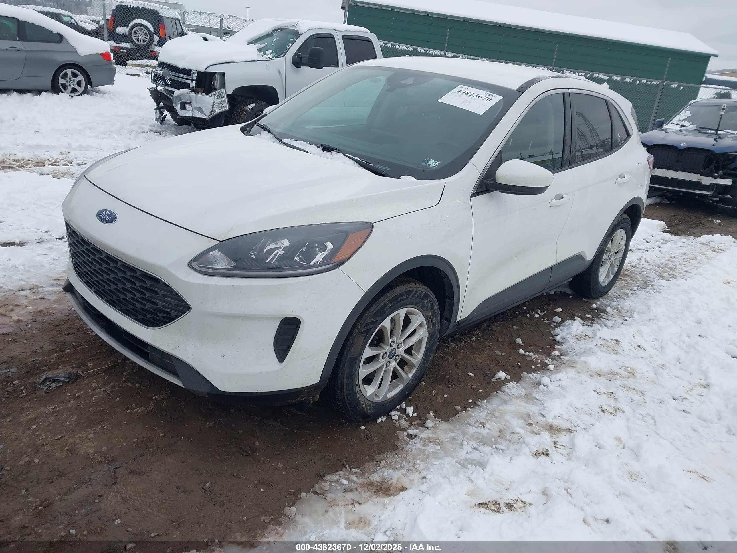 FORD ESCAPE image 2