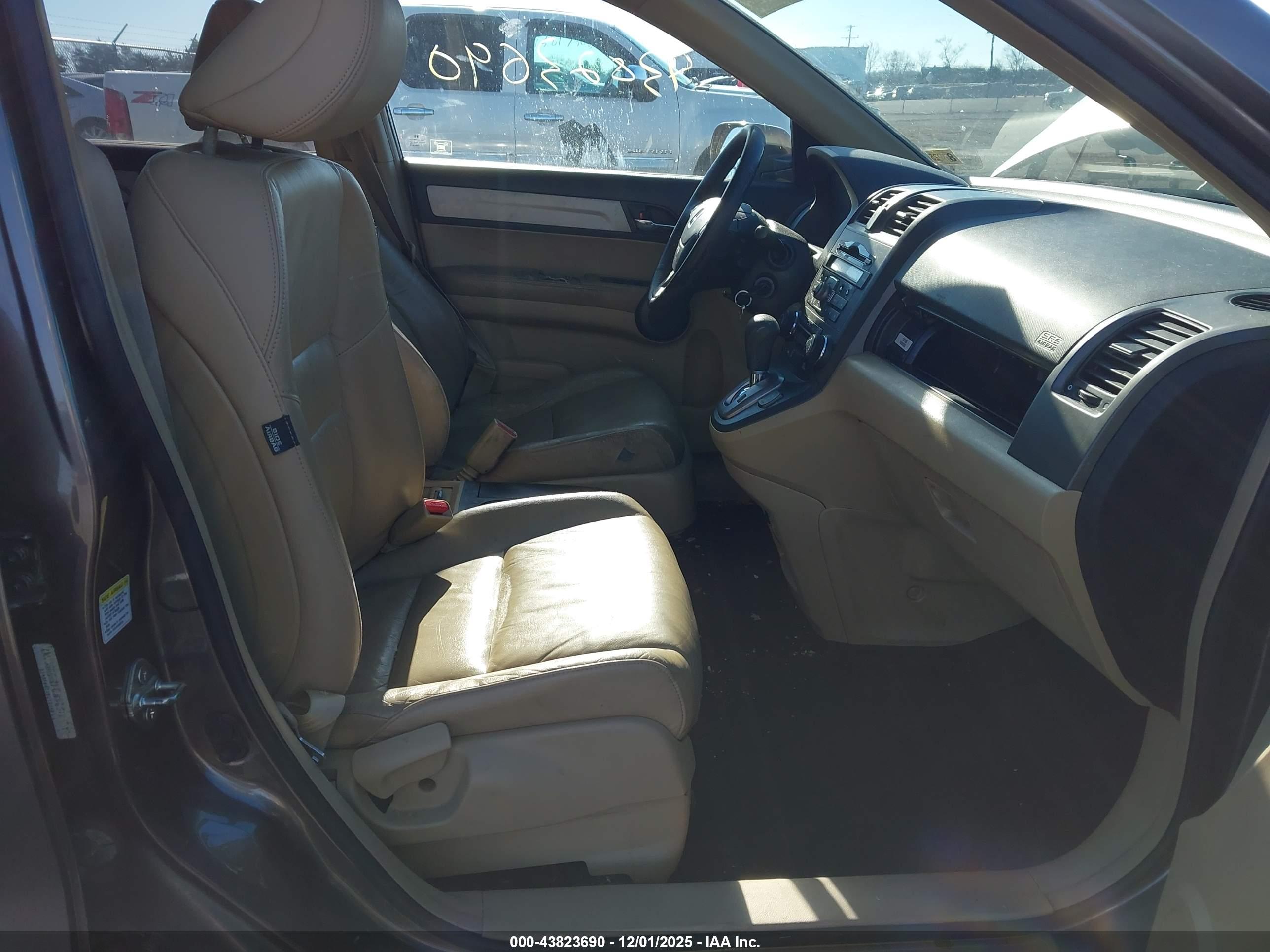 HONDA CR-V image 5