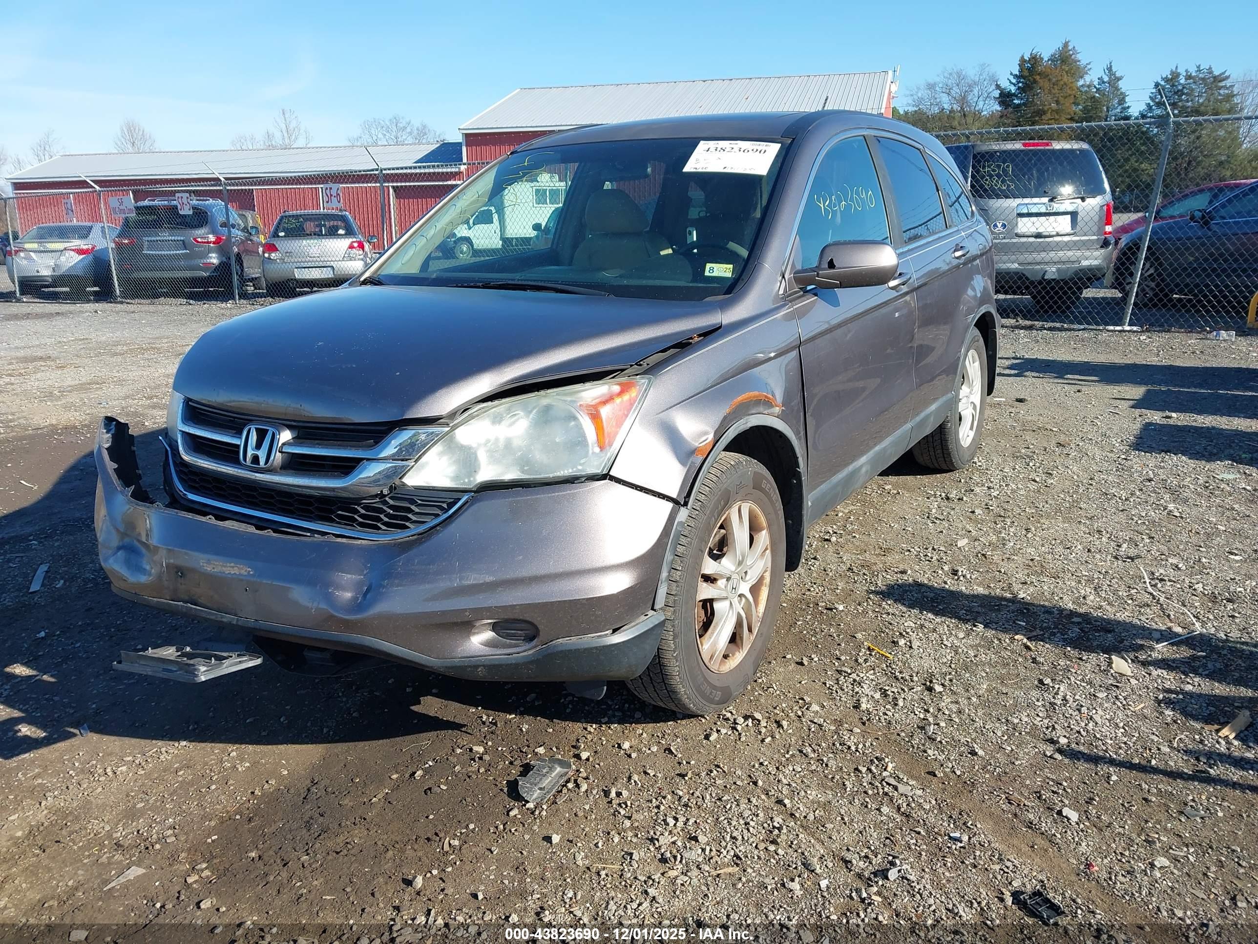 HONDA CR-V image 6