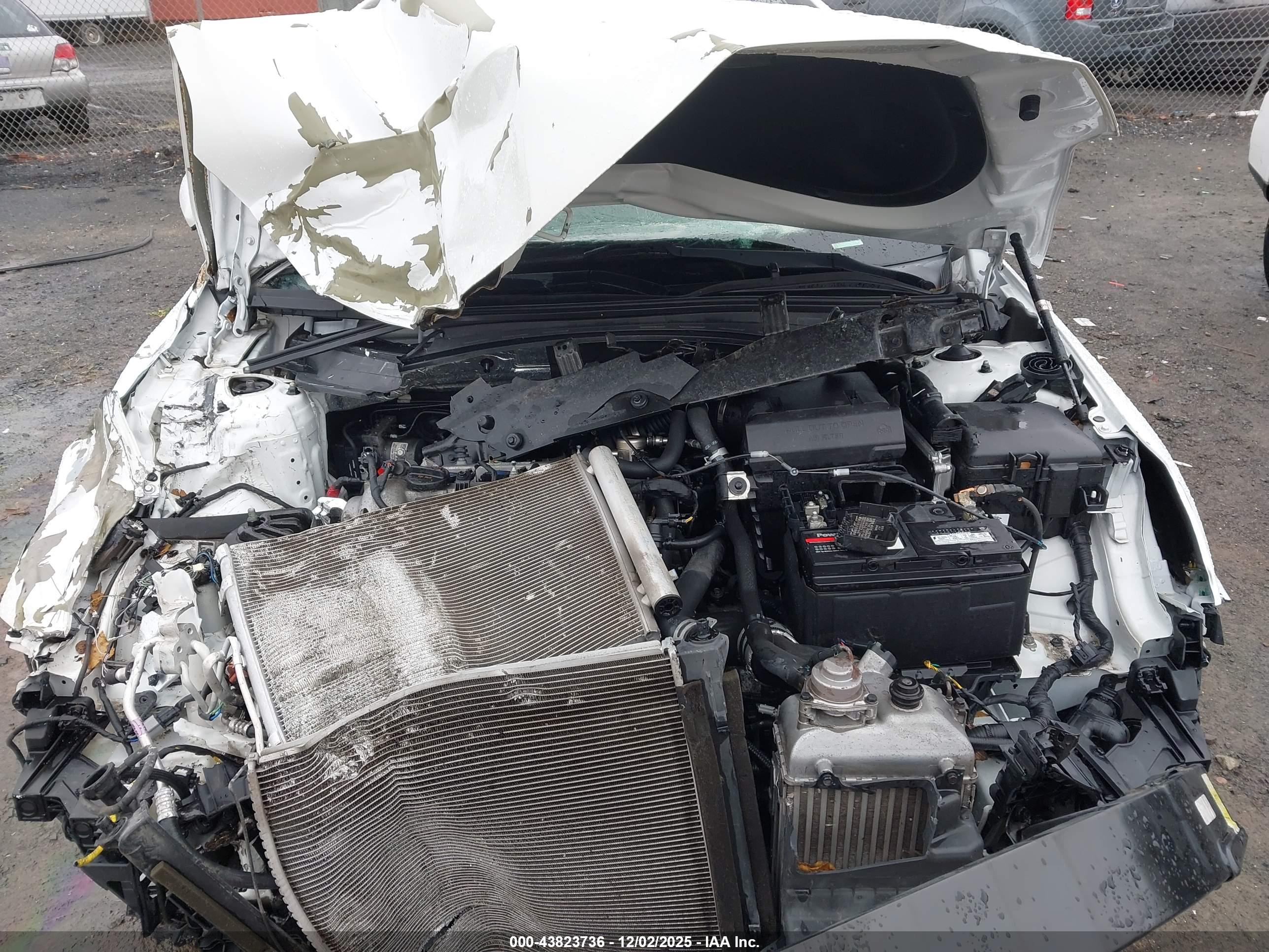 KIA OPTIMA image 10