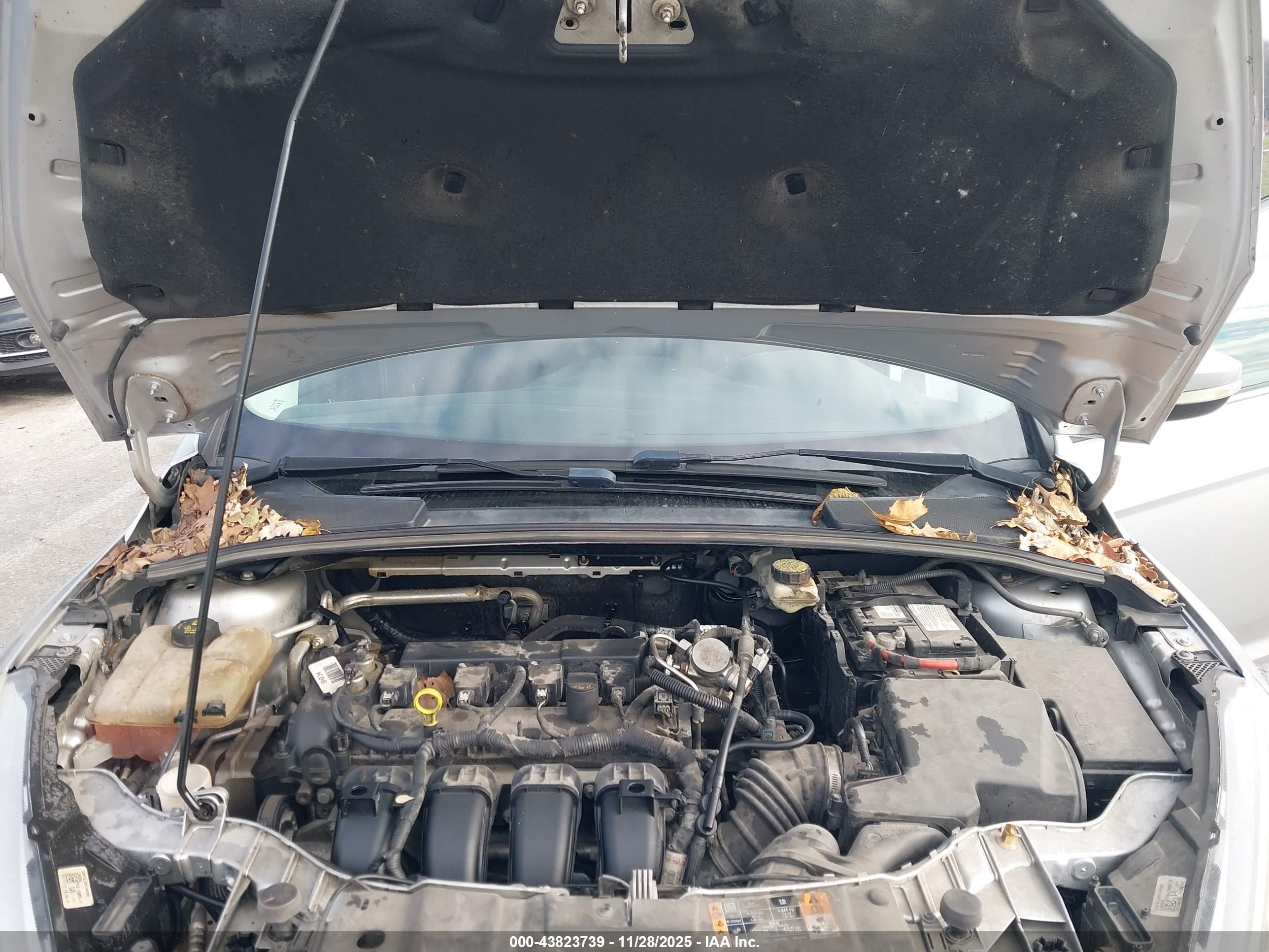 FORD FOCUS image 10