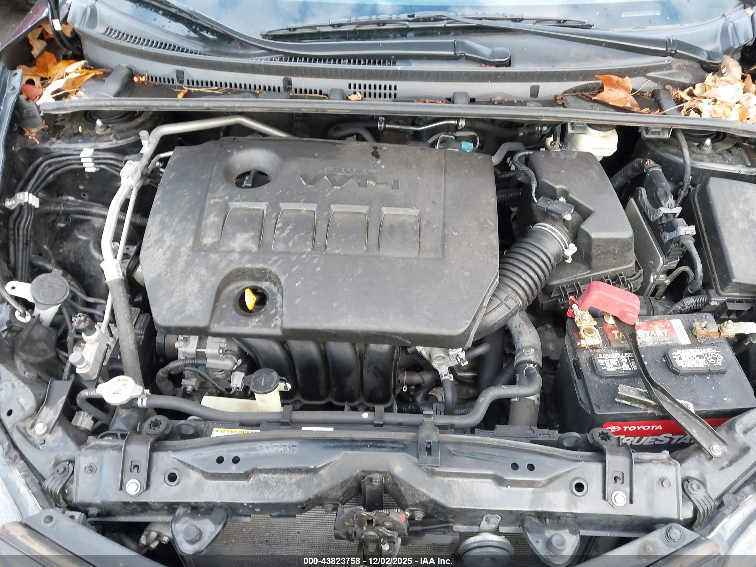 TOYOTA COROLLA image 10