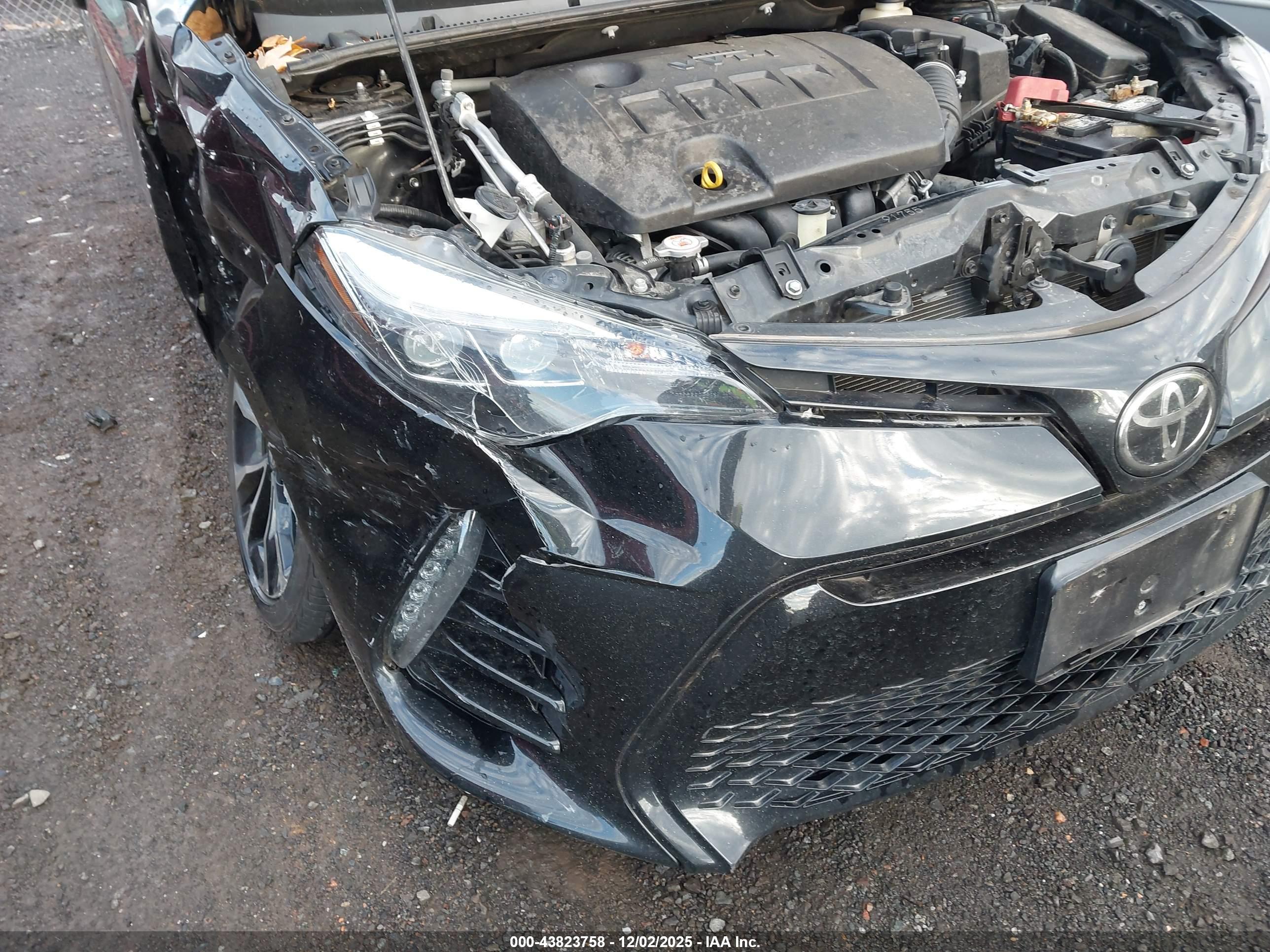 TOYOTA COROLLA image 6