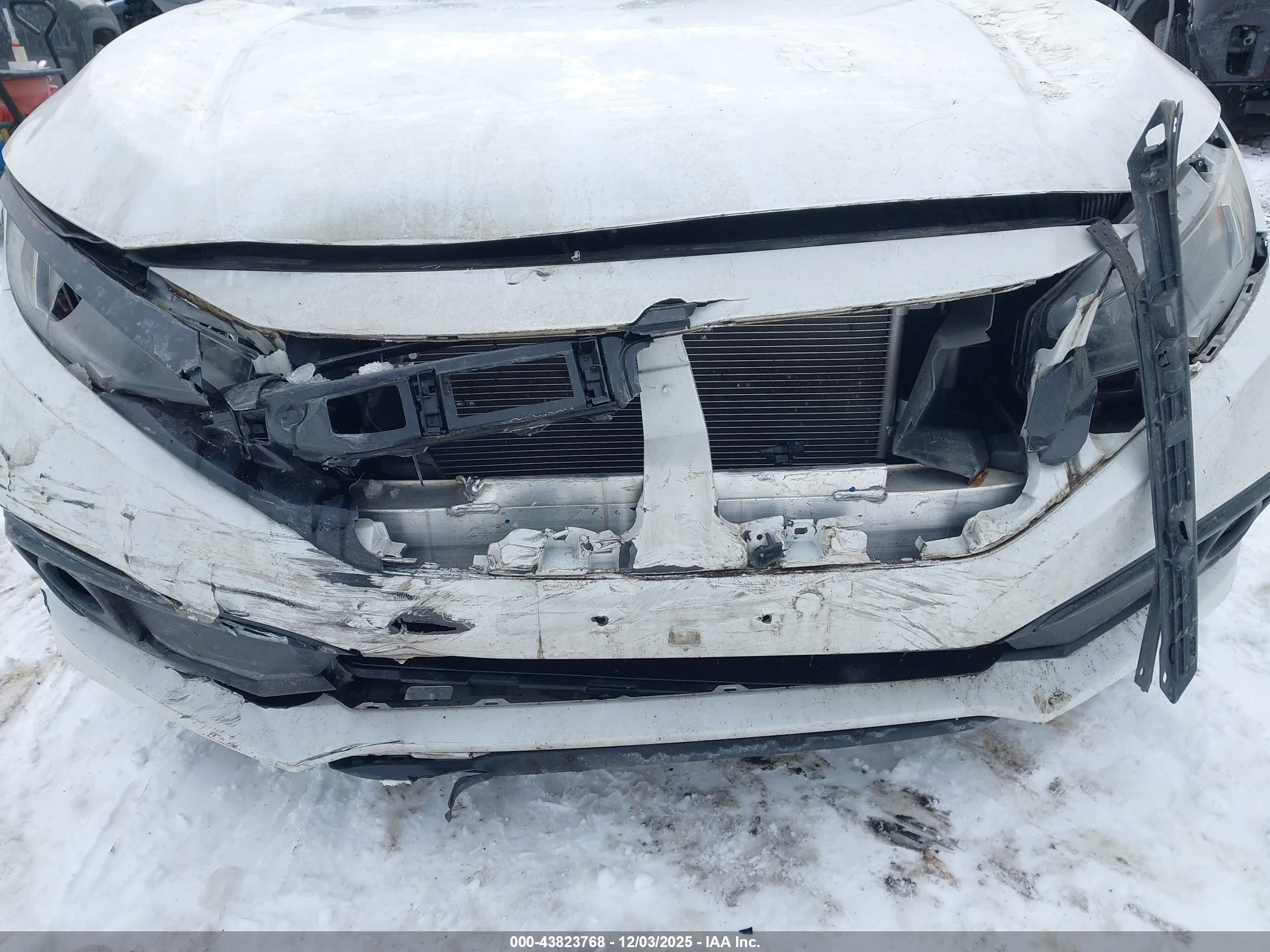 HONDA CIVIC image 6