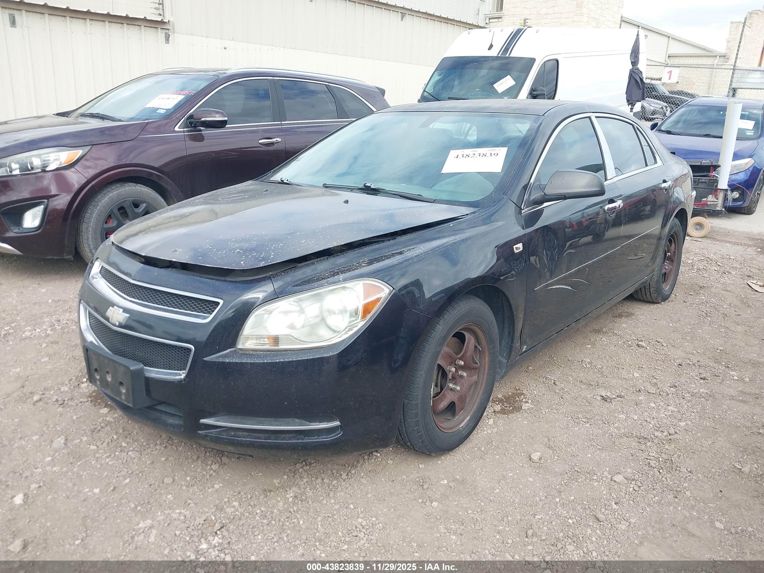 CHEVROLET MALIBU image 2