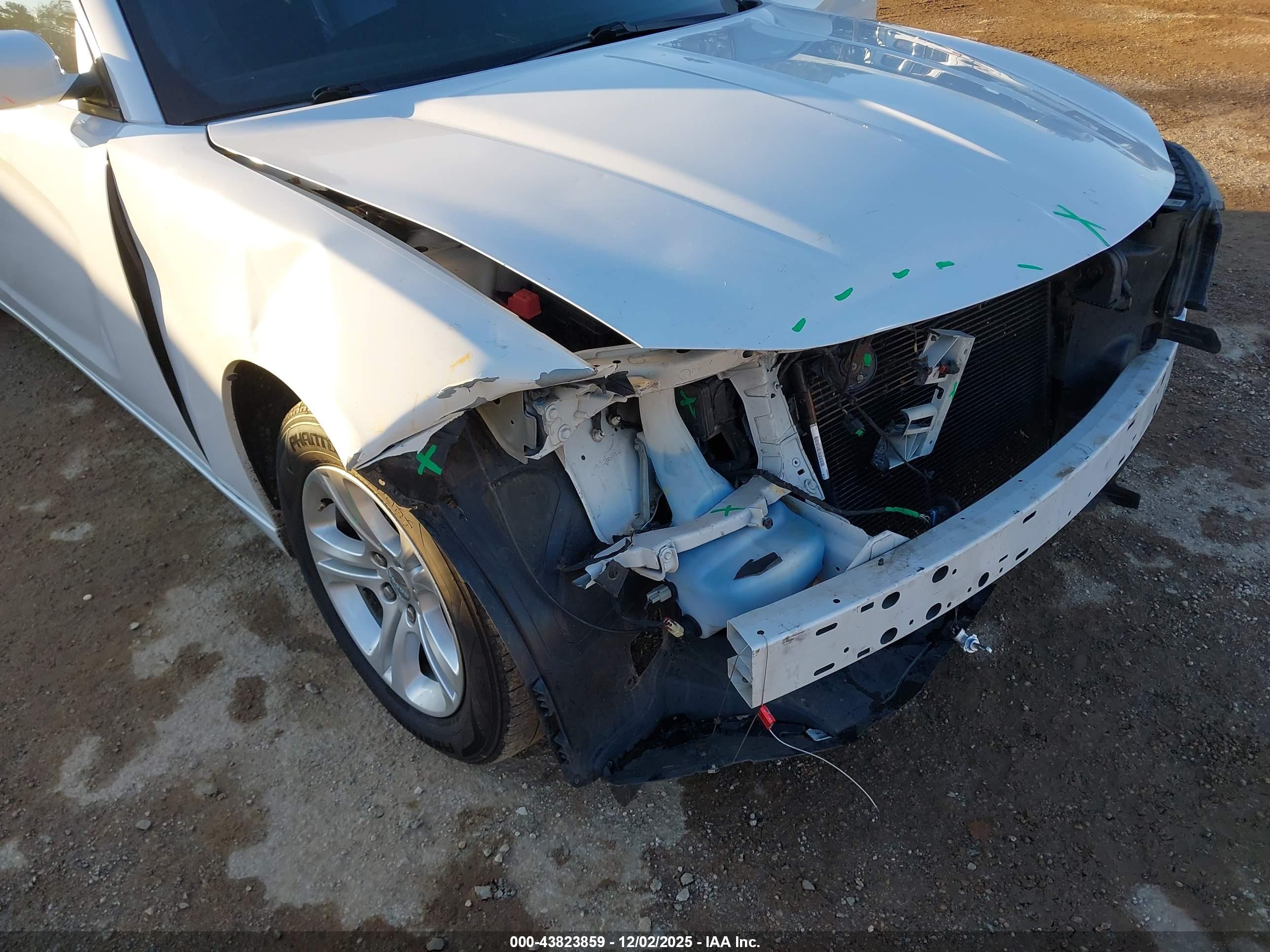 DODGE CHARGER image 6